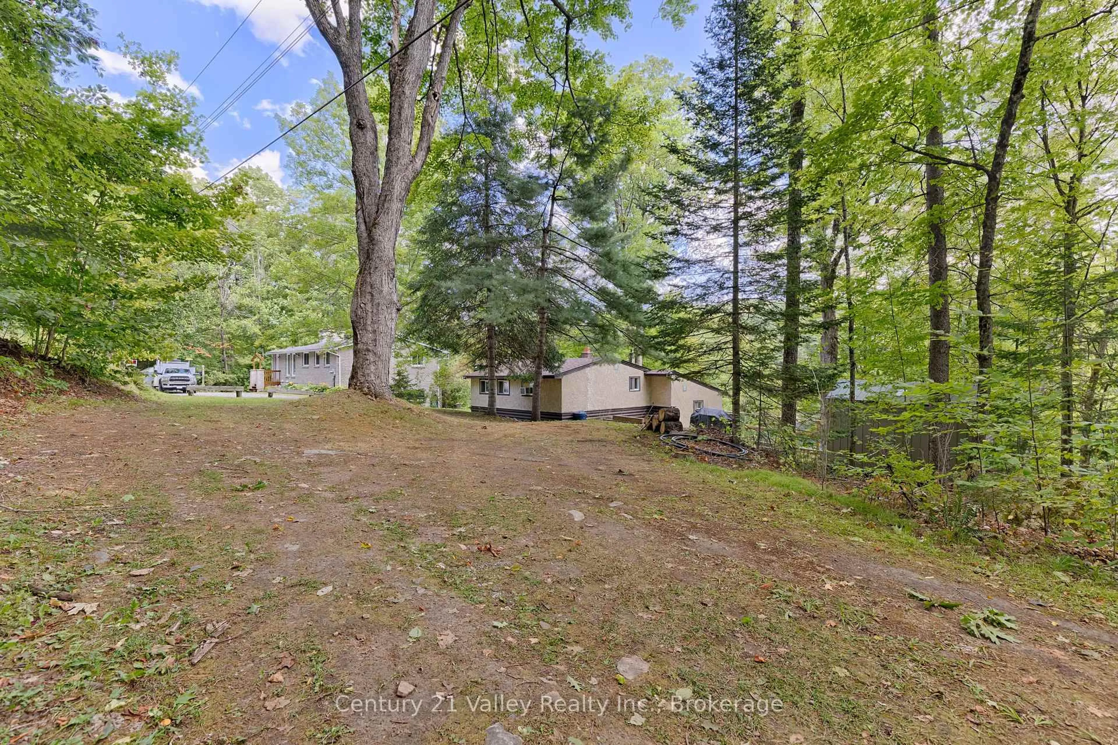 A pic from outside/outdoor area/front of a property/back of a property/a pic from drone, forest/trees view for 216 Stringers Lane, Burnstown Ontario K0J 1G0