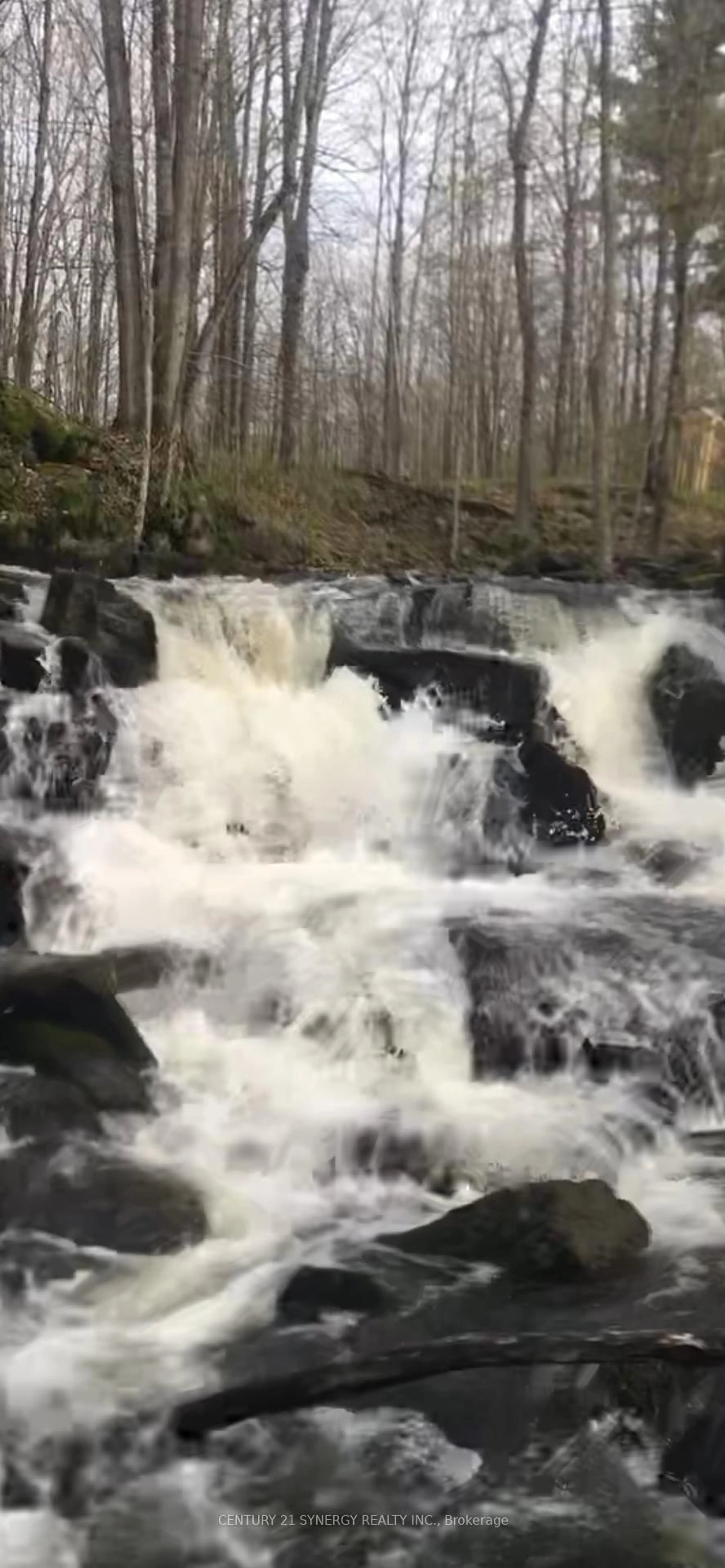 Blurry image for 56 Kelly Rd, Rideau Lakes Ontario K0G 1X0