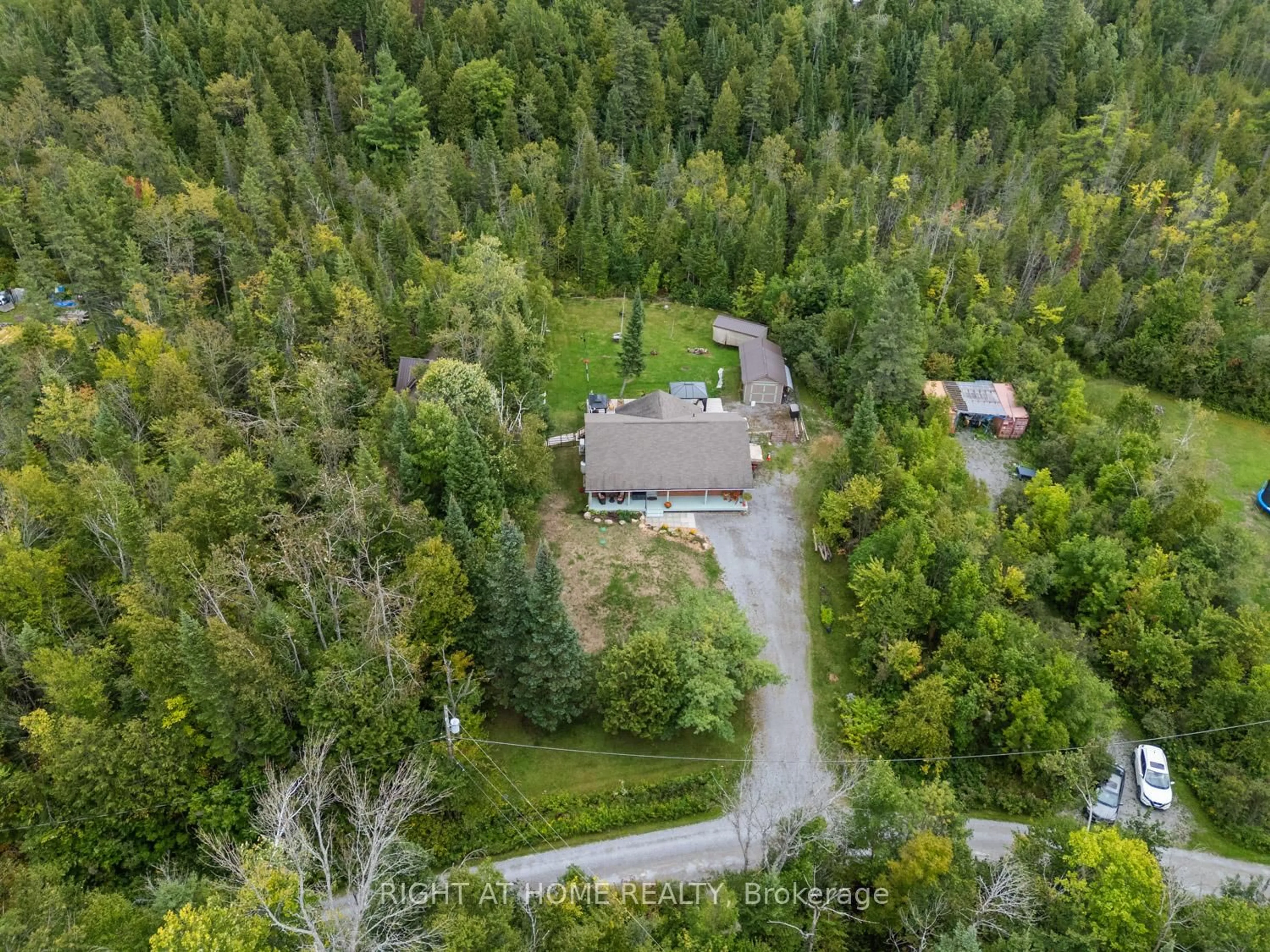 A pic from outside/outdoor area/front of a property/back of a property/a pic from drone, forest/trees view for 89 River Rd, Kawartha Lakes Ontario K0M 1N0