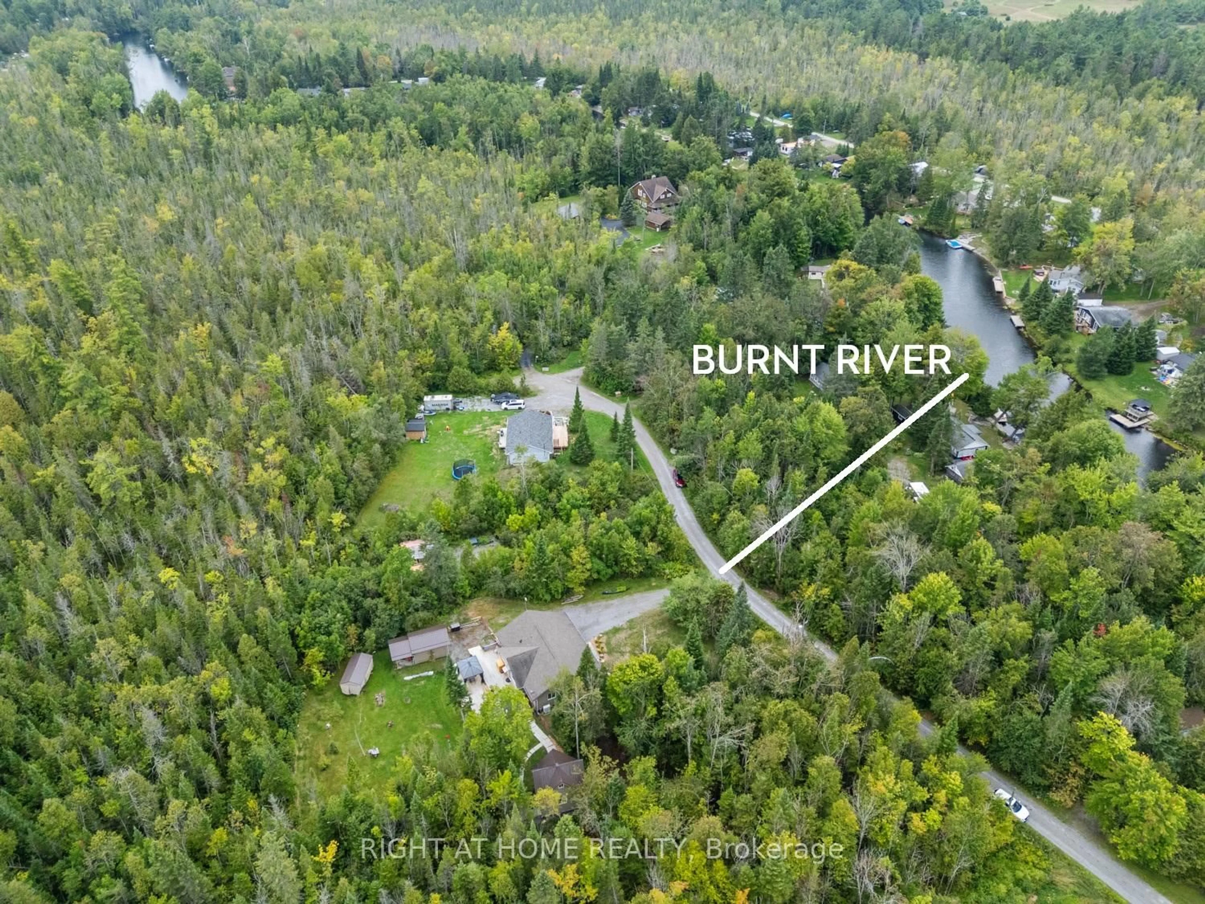 A pic from outside/outdoor area/front of a property/back of a property/a pic from drone, forest/trees view for 89 River Rd, Kawartha Lakes Ontario K0M 1N0