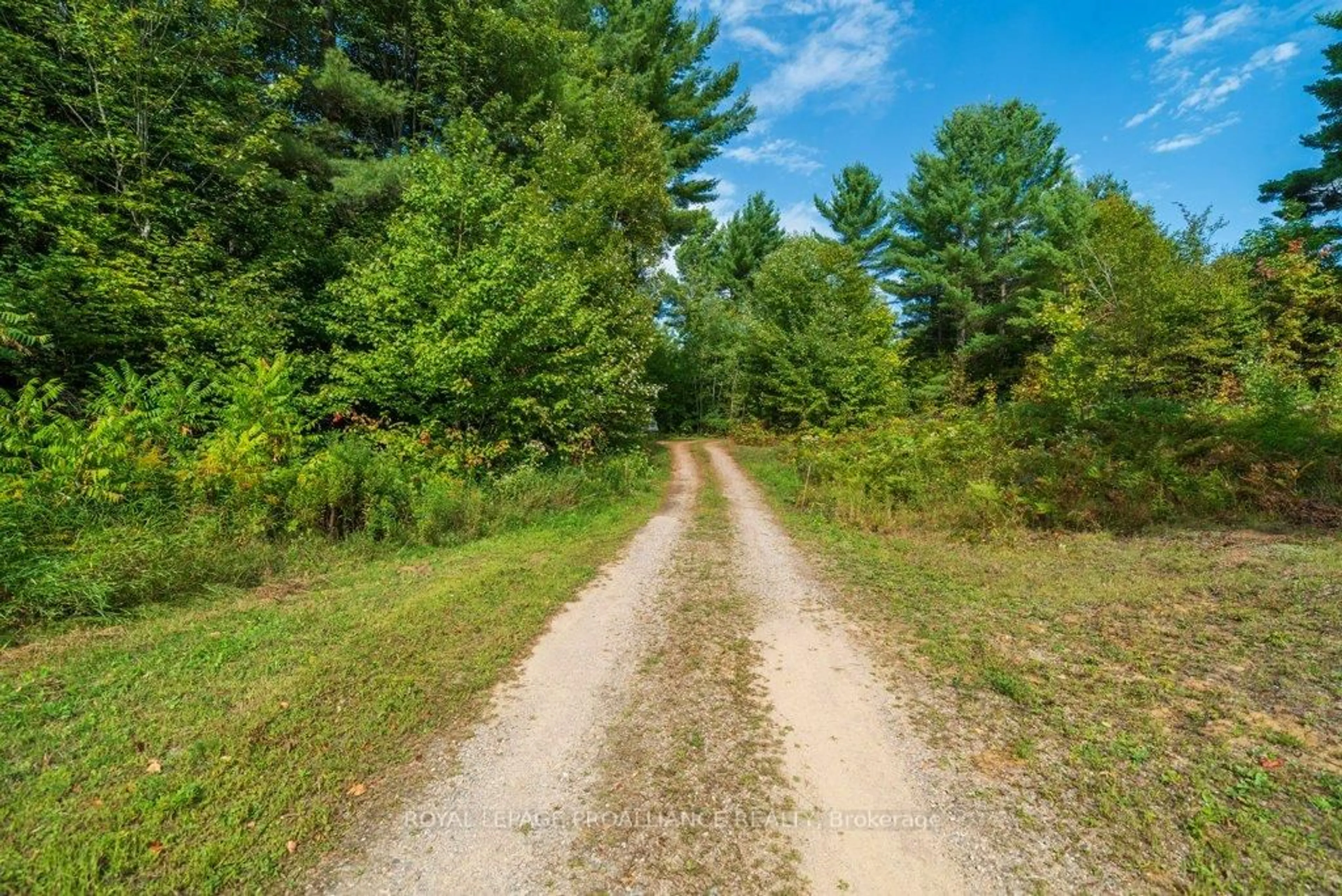 Unknown for 216 Glastonbury Rd, Addington Highlands Ontario K0H 2G0