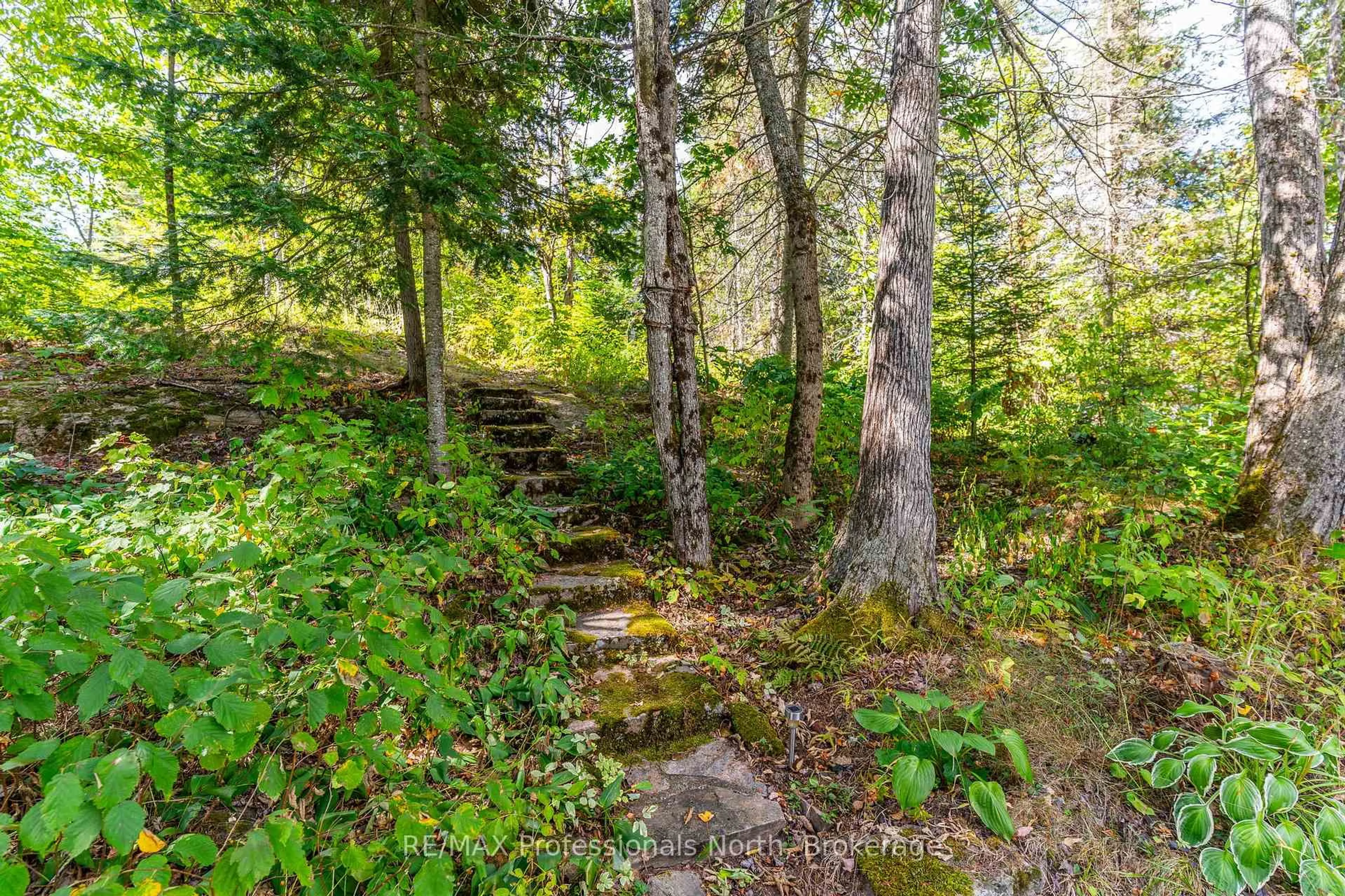 Stairs for 1468 Twelve Mile Lake Rd, Minden Hills Ontario K0M 2K0