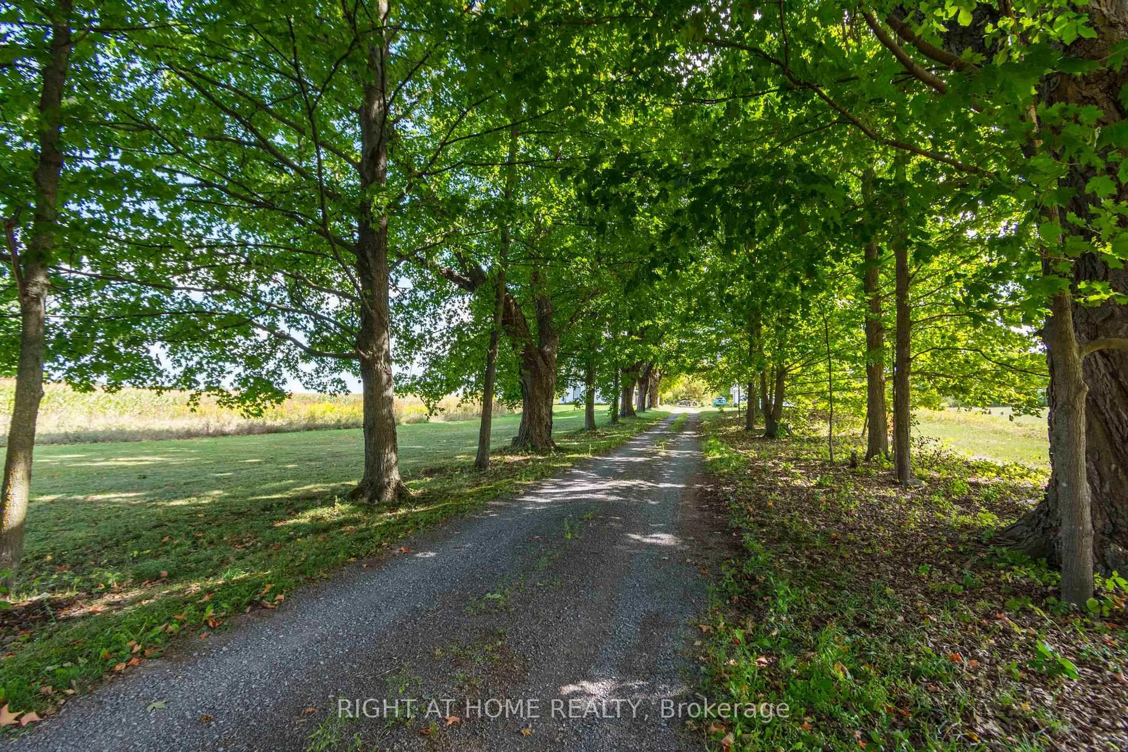 A pic from outside/outdoor area/front of a property/back of a property/a pic from drone, forest/trees view for 7 Pitts Landing Rd, Madoc Ontario K0K 2K0
