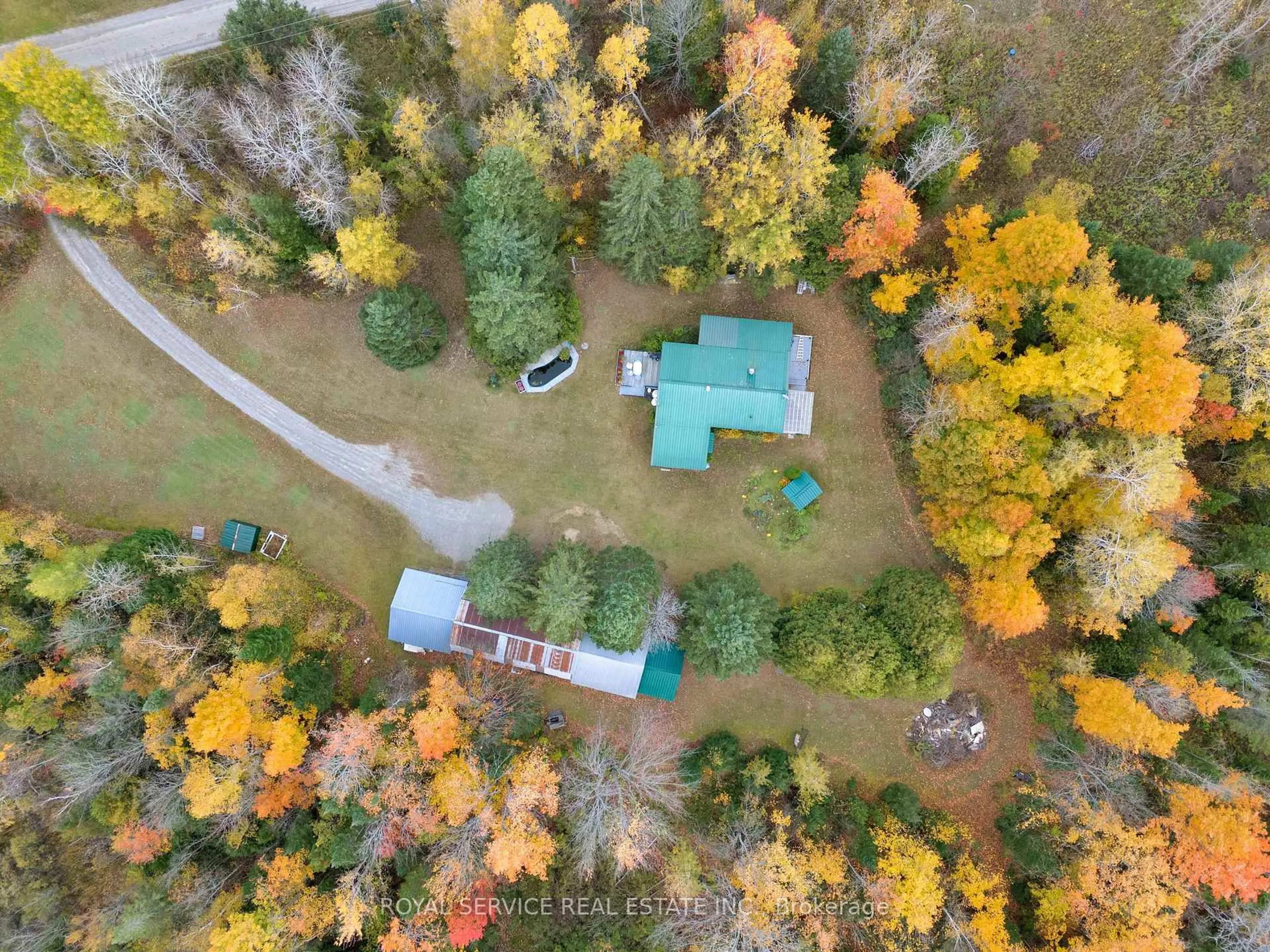 A pic from outside/outdoor area/front of a property/back of a property/a pic from drone, forest/trees view for 1204 Pigeon Creek Rd, Kawartha Lakes Ontario L0B 1K0