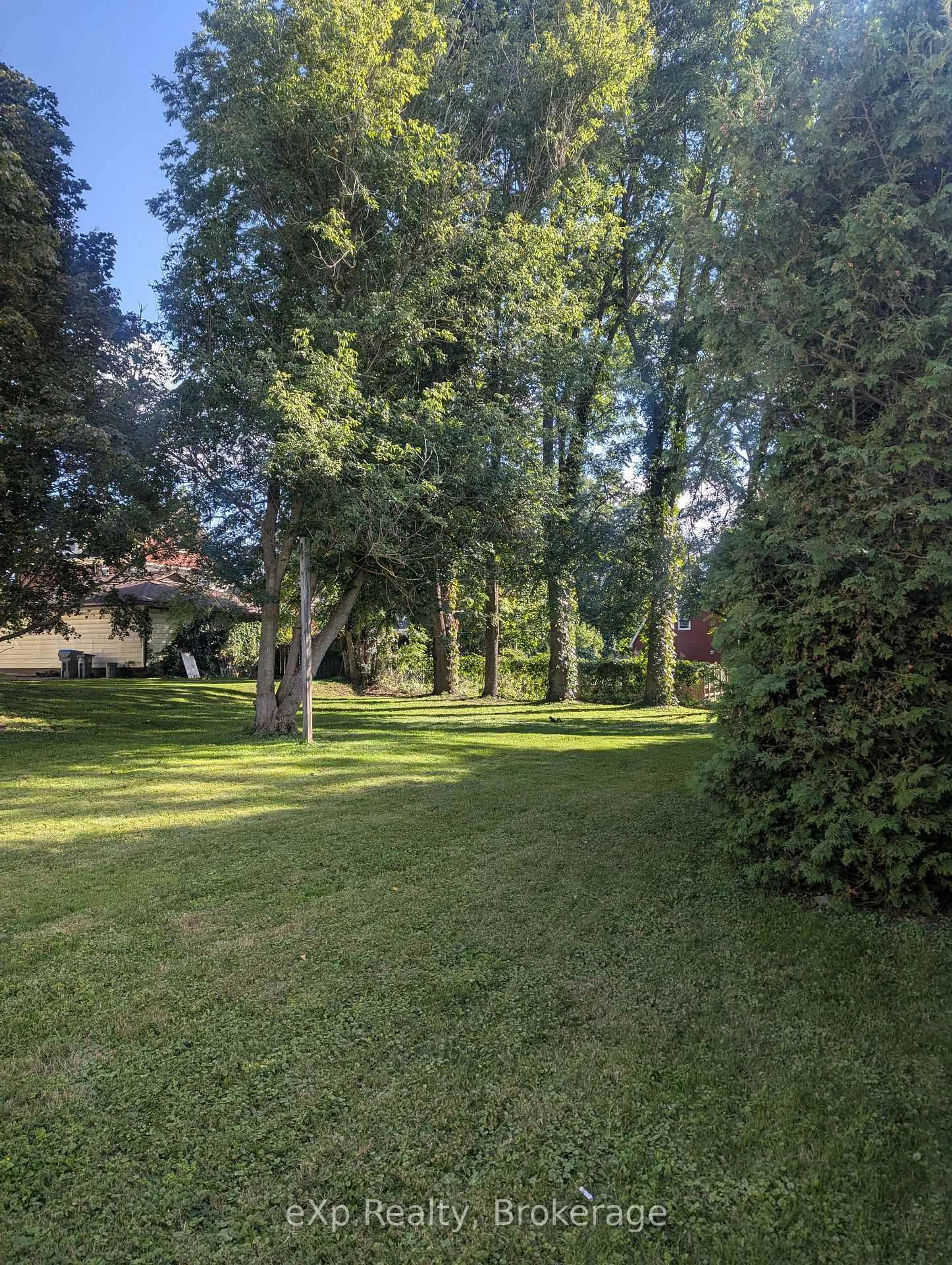 A pic from outside/outdoor area/front of a property/back of a property/a pic from drone, forest/trees view for 440 Binning St, North Perth Ontario N4W 1G8