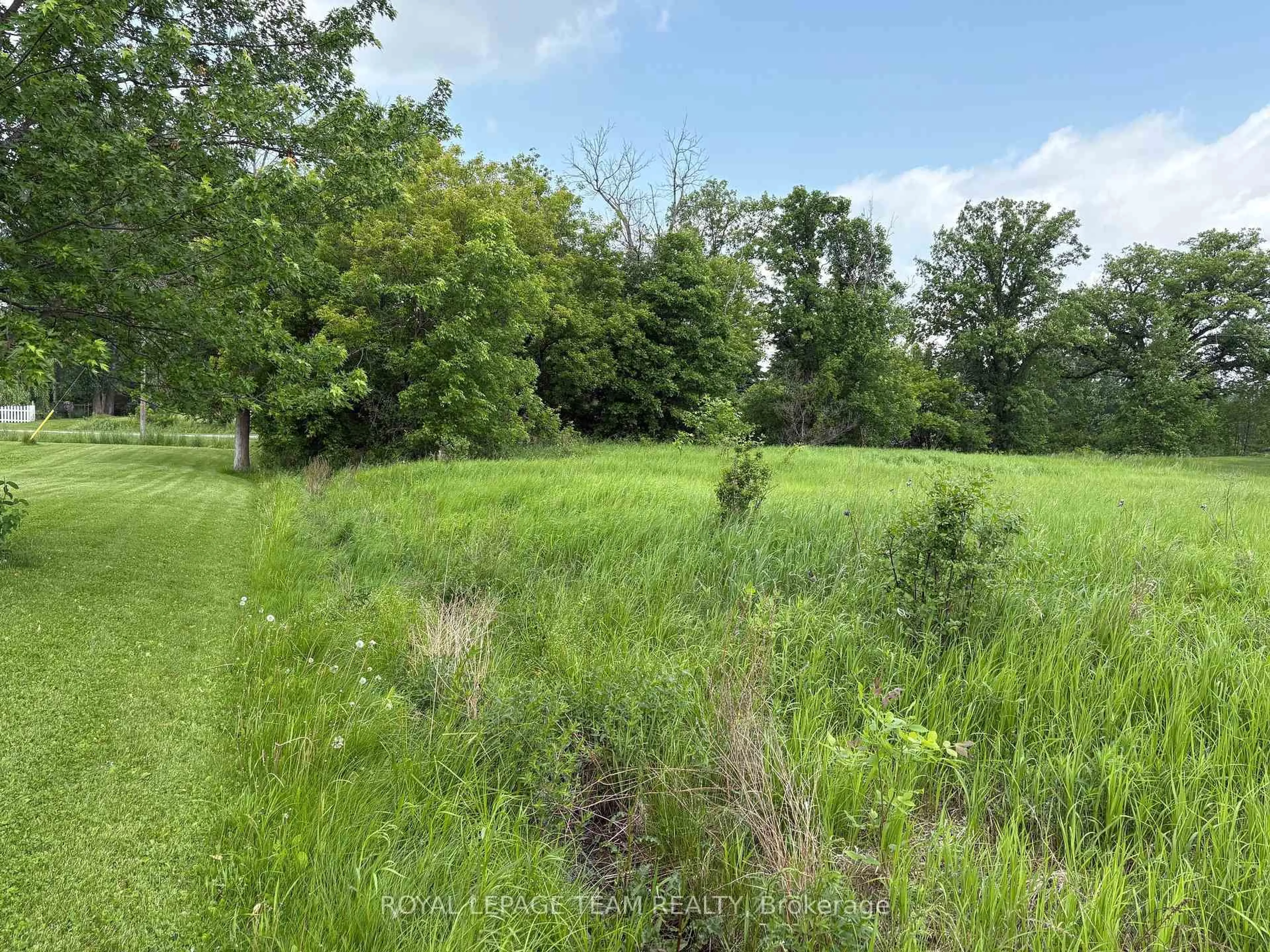 A pic from outside/outdoor area/front of a property/back of a property/a pic from drone, forest/trees view for 161 Old Pakenham Rd, Fitzroy Harbour Ontario K0A 1X0