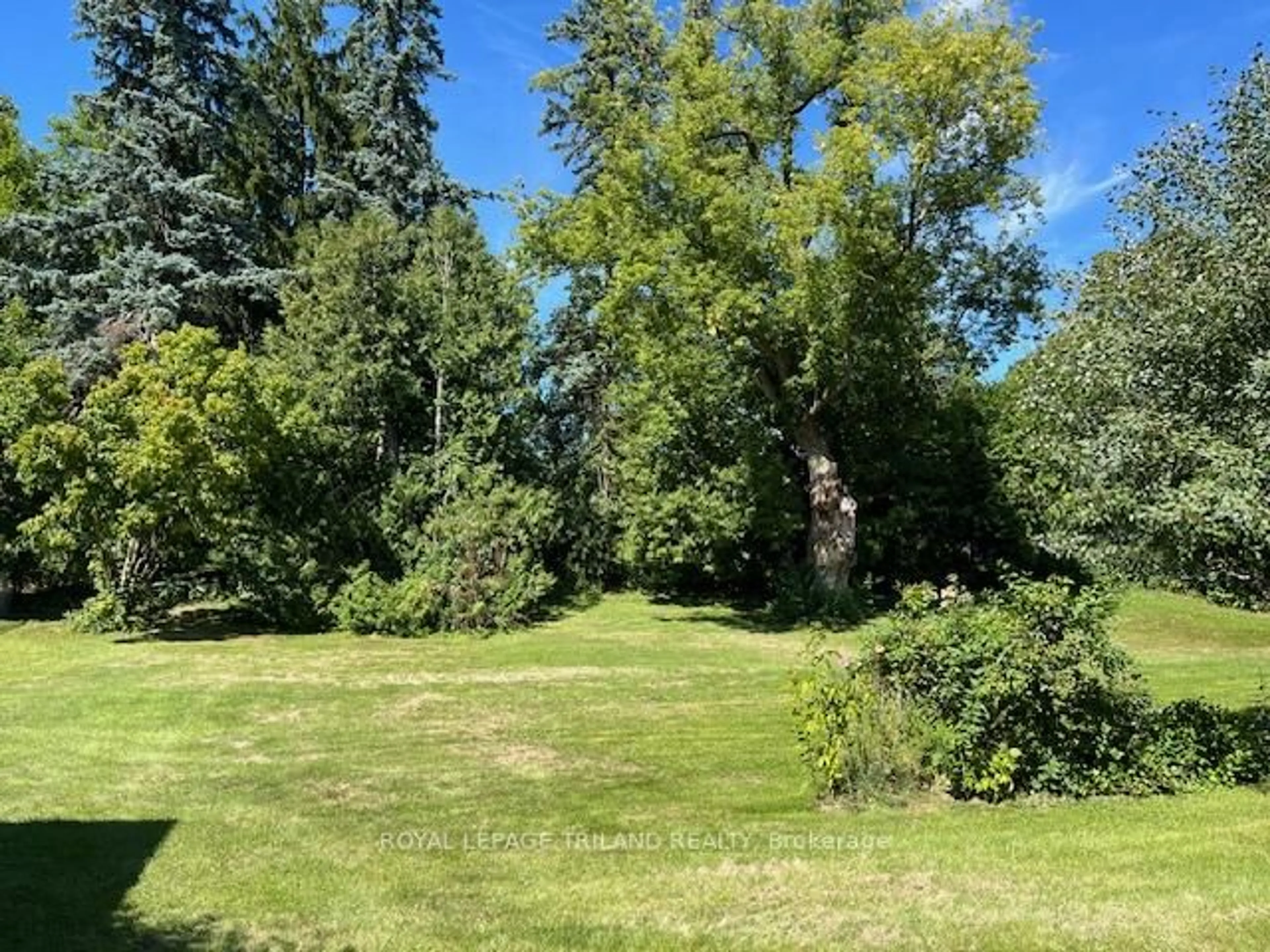 A pic from outside/outdoor area/front of a property/back of a property/a pic from drone, forest/trees view for 769 Haighton Rd, London South Ontario N6K 1B4