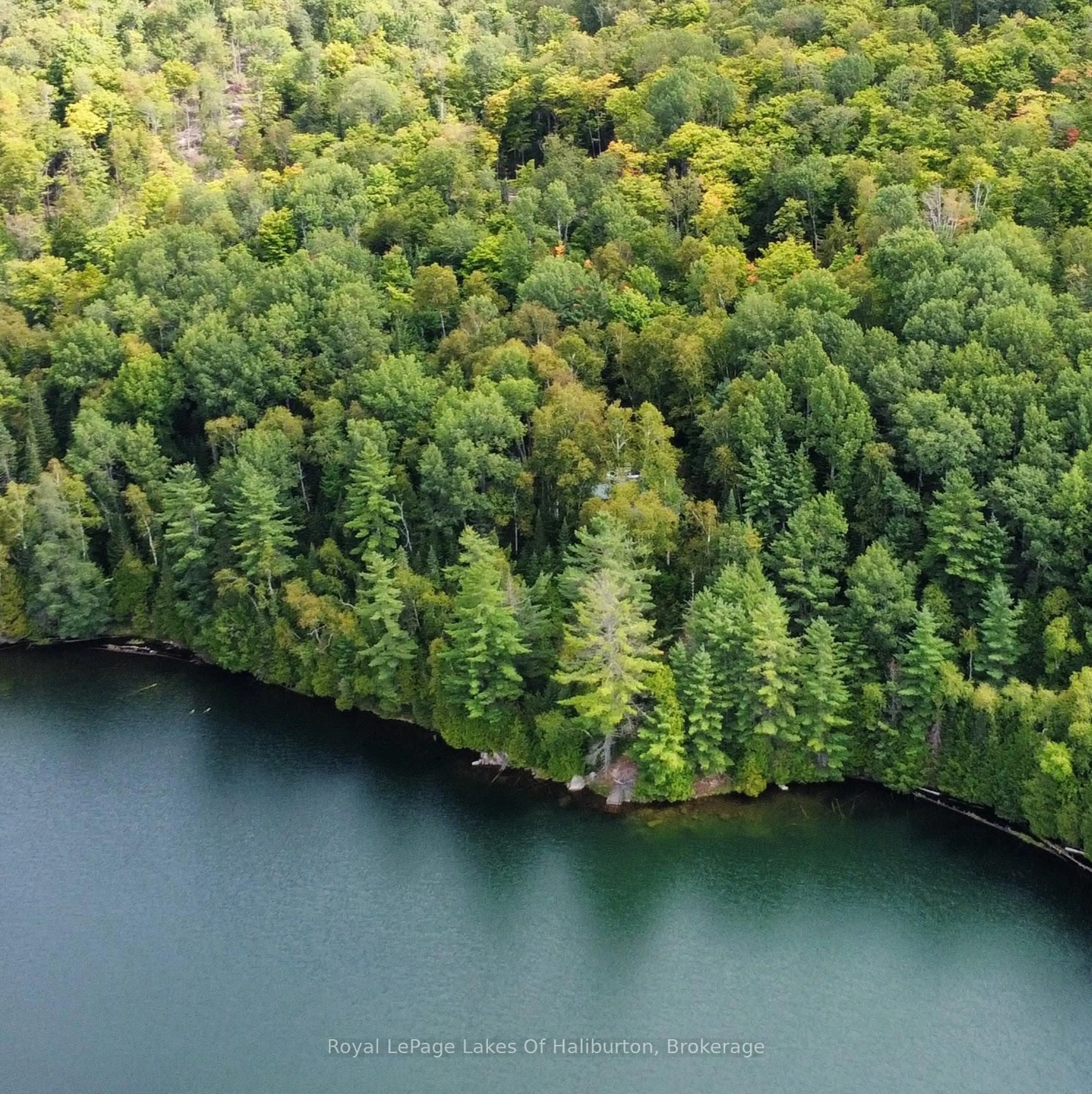 A pic from outside/outdoor area/front of a property/back of a property/a pic from drone, forest/trees view for 1407 Paynes Rd, Highlands East Ontario K0M 2Y0