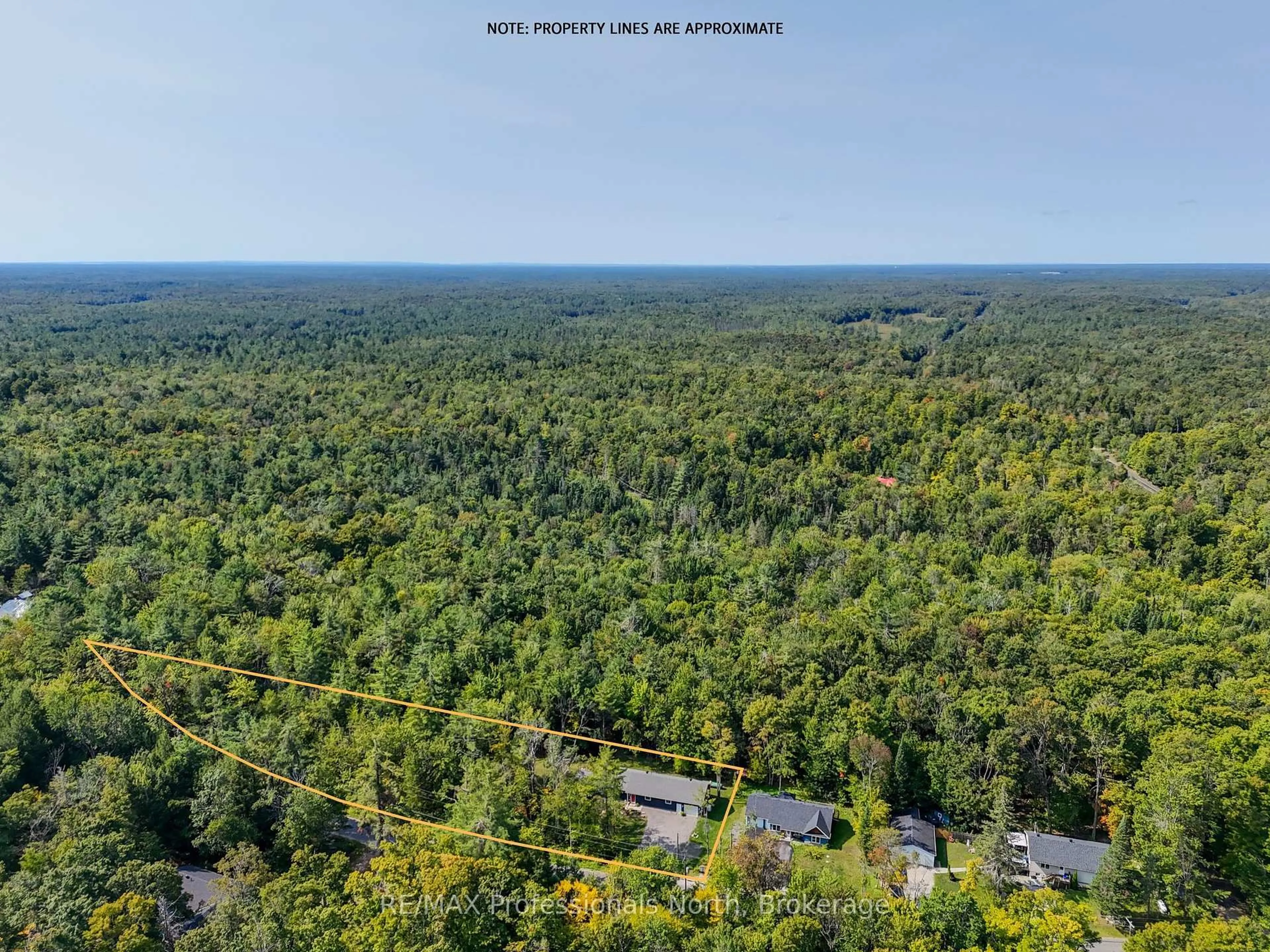 A pic from outside/outdoor area/front of a property/back of a property/a pic from drone, forest/trees view for 1087 Hawn Rd, Bracebridge Ontario P1P 1R3