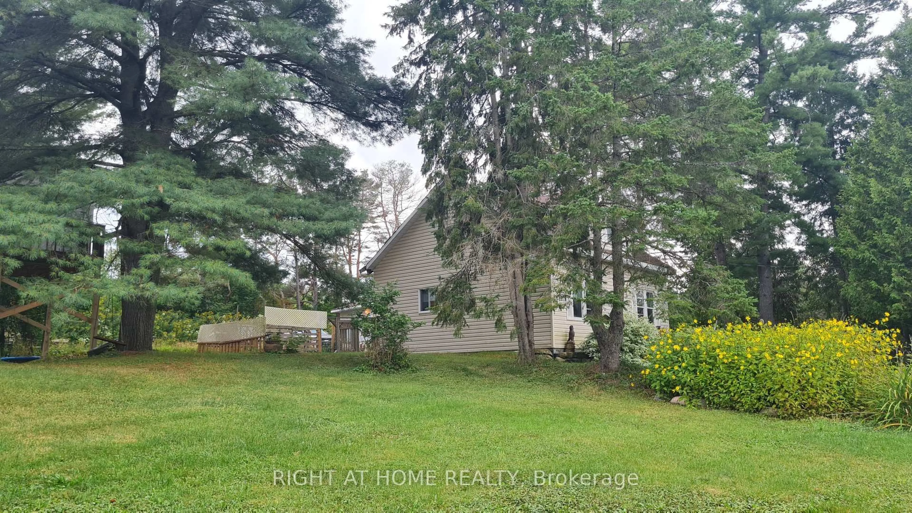 A pic from outside/outdoor area/front of a property/back of a property/a pic from drone, forest/trees view for 2324 60 Highway, Lake of Bays Ontario P1H 2J6