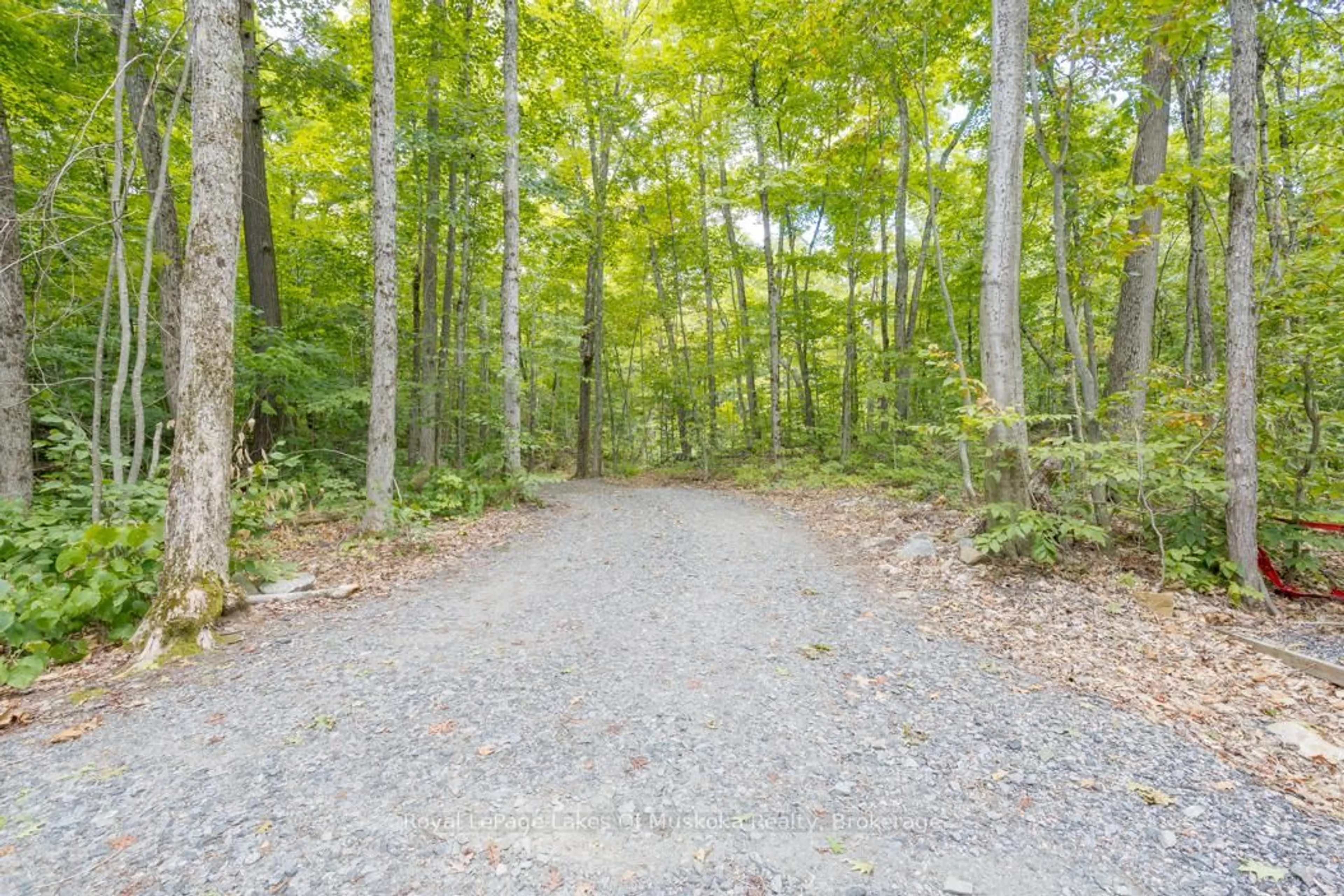 Patio, forest/trees view for 16 Long and Winding Rd, Seguin Ontario P2A 2W8