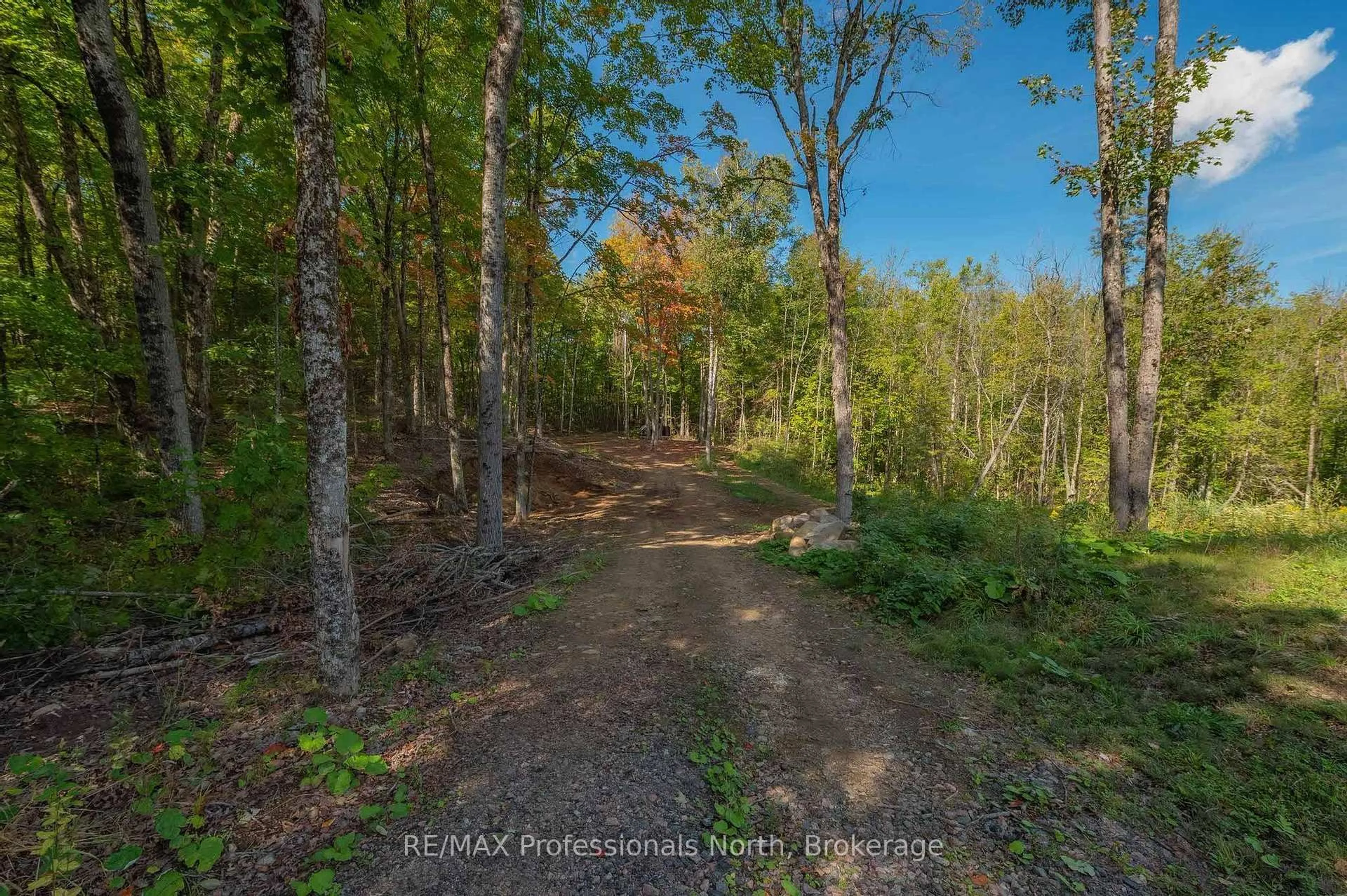 A pic from outside/outdoor area/front of a property/back of a property/a pic from drone, forest/trees view for 1677 Hospitality Rd, Minden Hills Ontario K0M 2K0