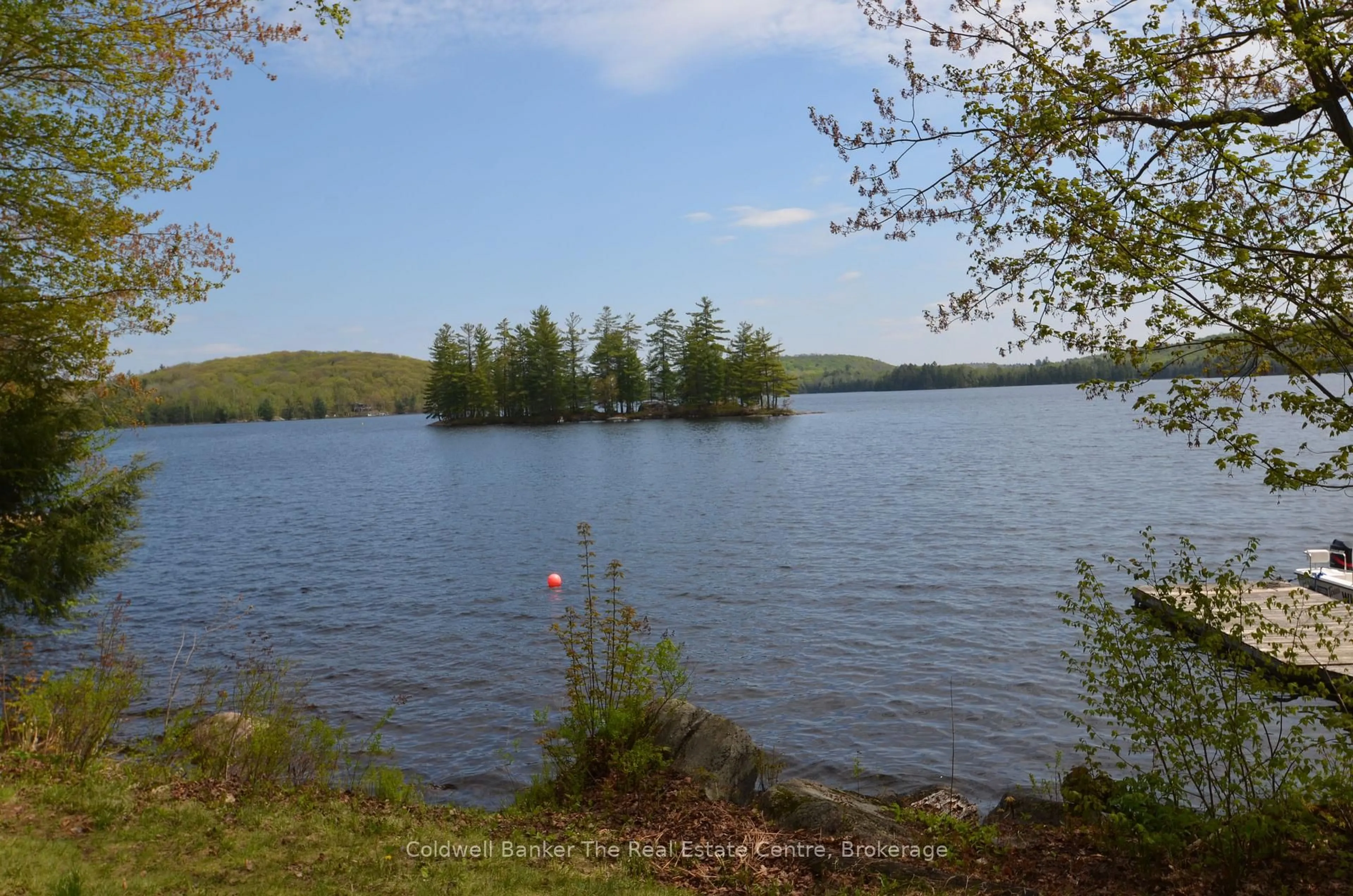 Blurry image for 10835 Raven - West Shore Pass, Algonquin Highlands Ontario P0A 1E0