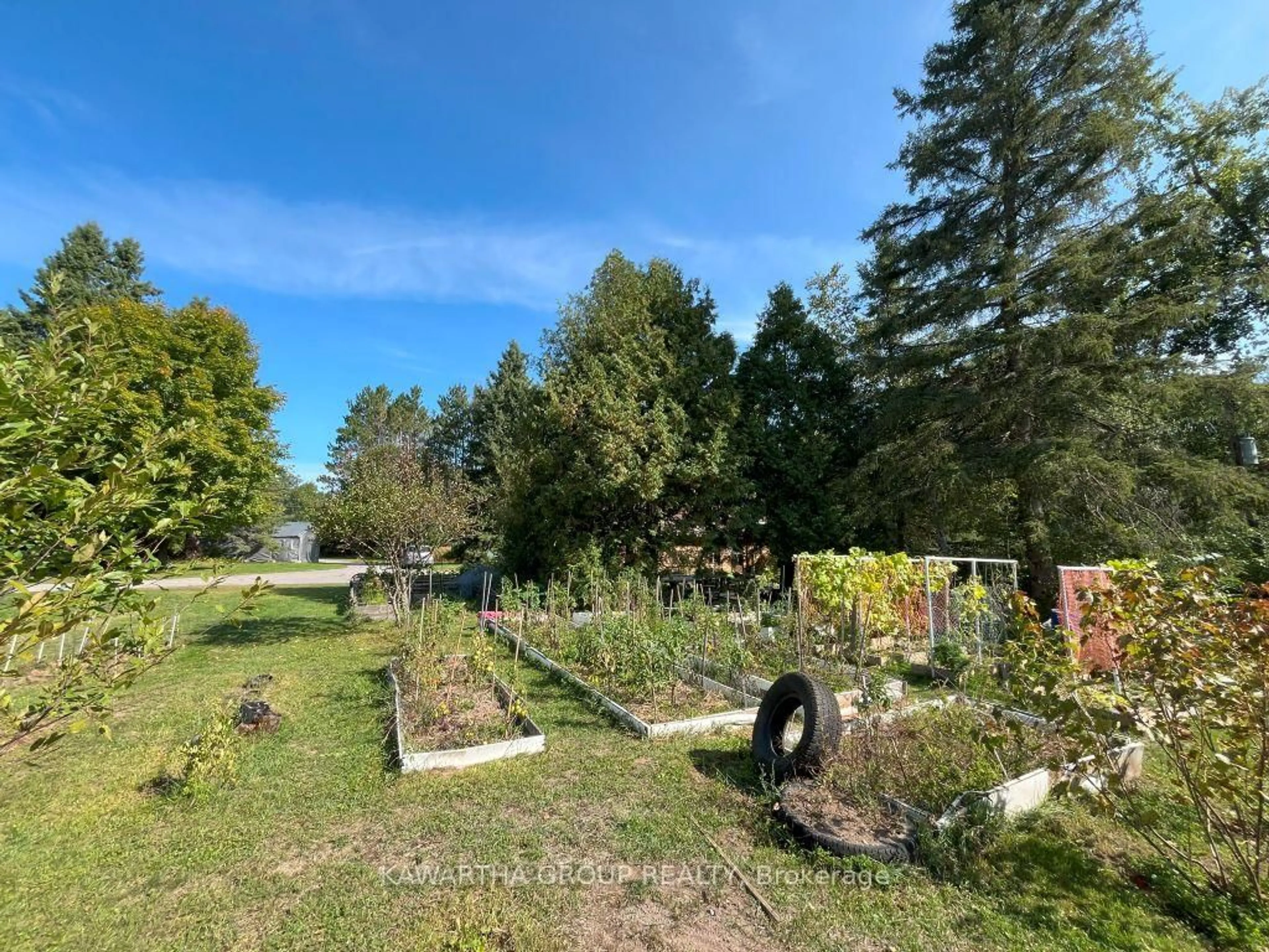 A pic from outside/outdoor area/front of a property/back of a property/a pic from drone, forest/trees view for 8056 35 Highway, Kawartha Lakes Ontario K0M 2L0