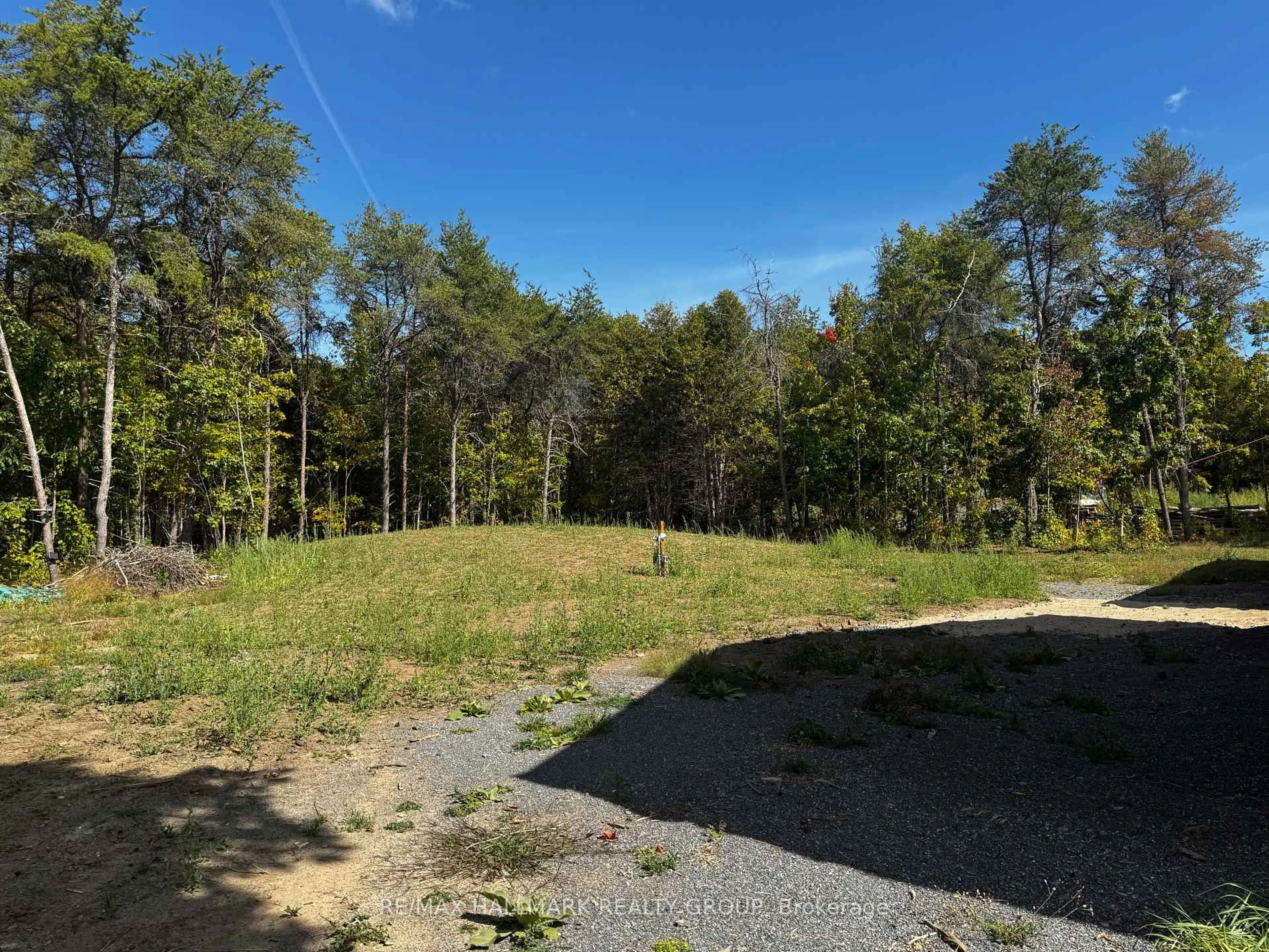 A pic from outside/outdoor area/front of a property/back of a property/a pic from drone, forest/trees view for 6813 Charleville Rd, Augusta Ontario K0E 1T0