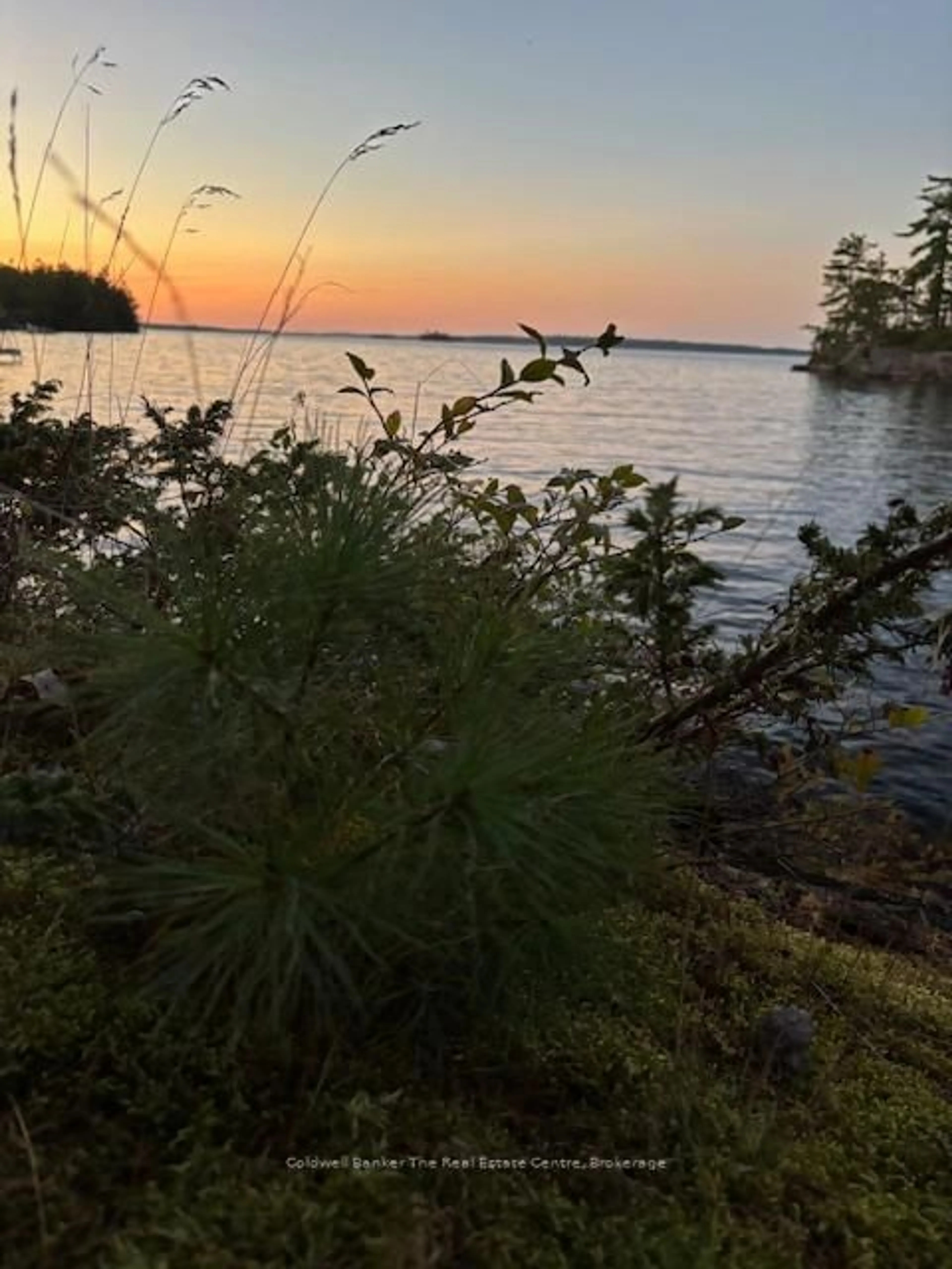 Blurry image for 1355 Narrows Rd, Gravenhurst Ontario P1P 1R3