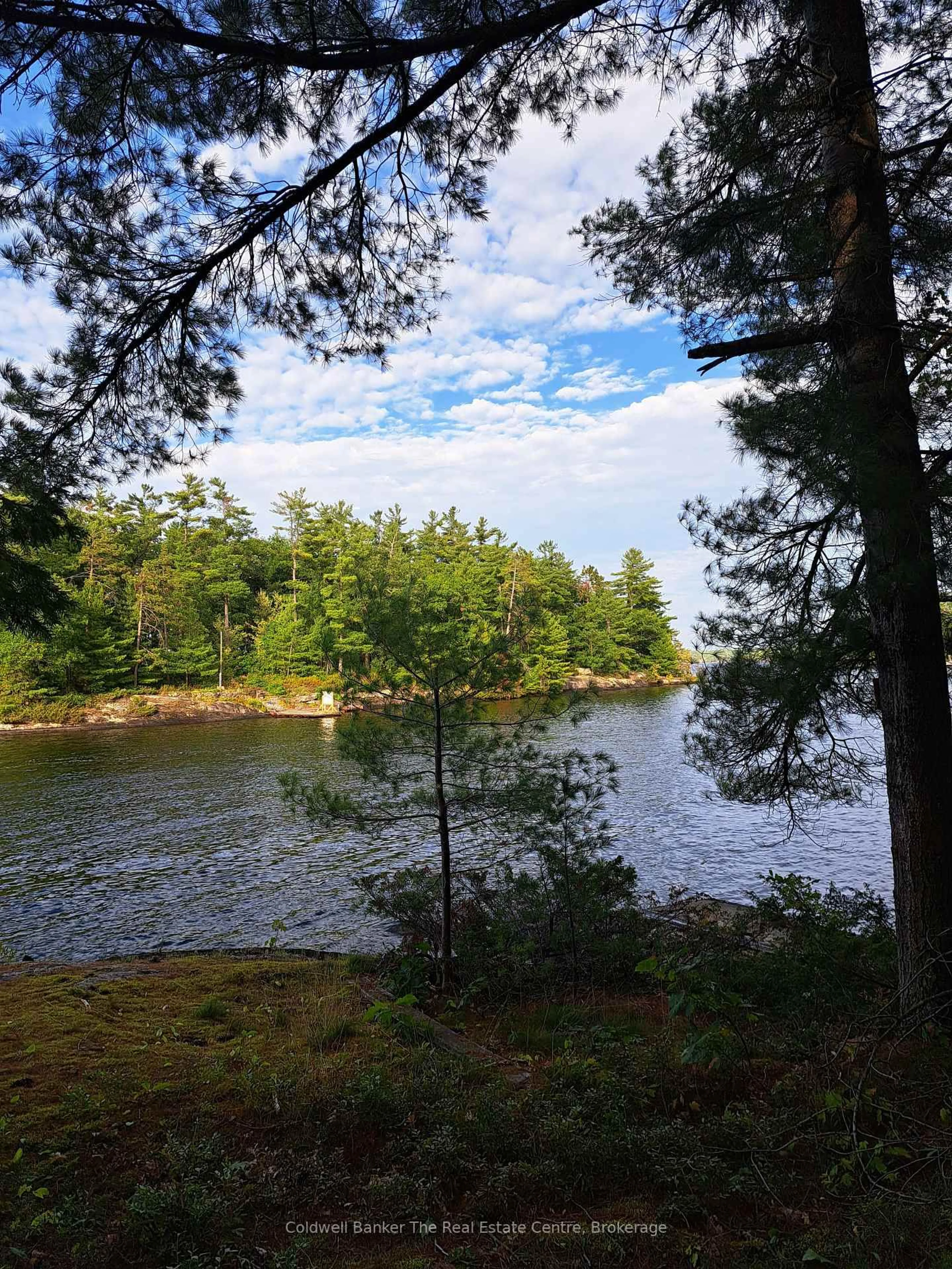 Unknown for 1355 Narrows Rd, Gravenhurst Ontario P1P 1R3