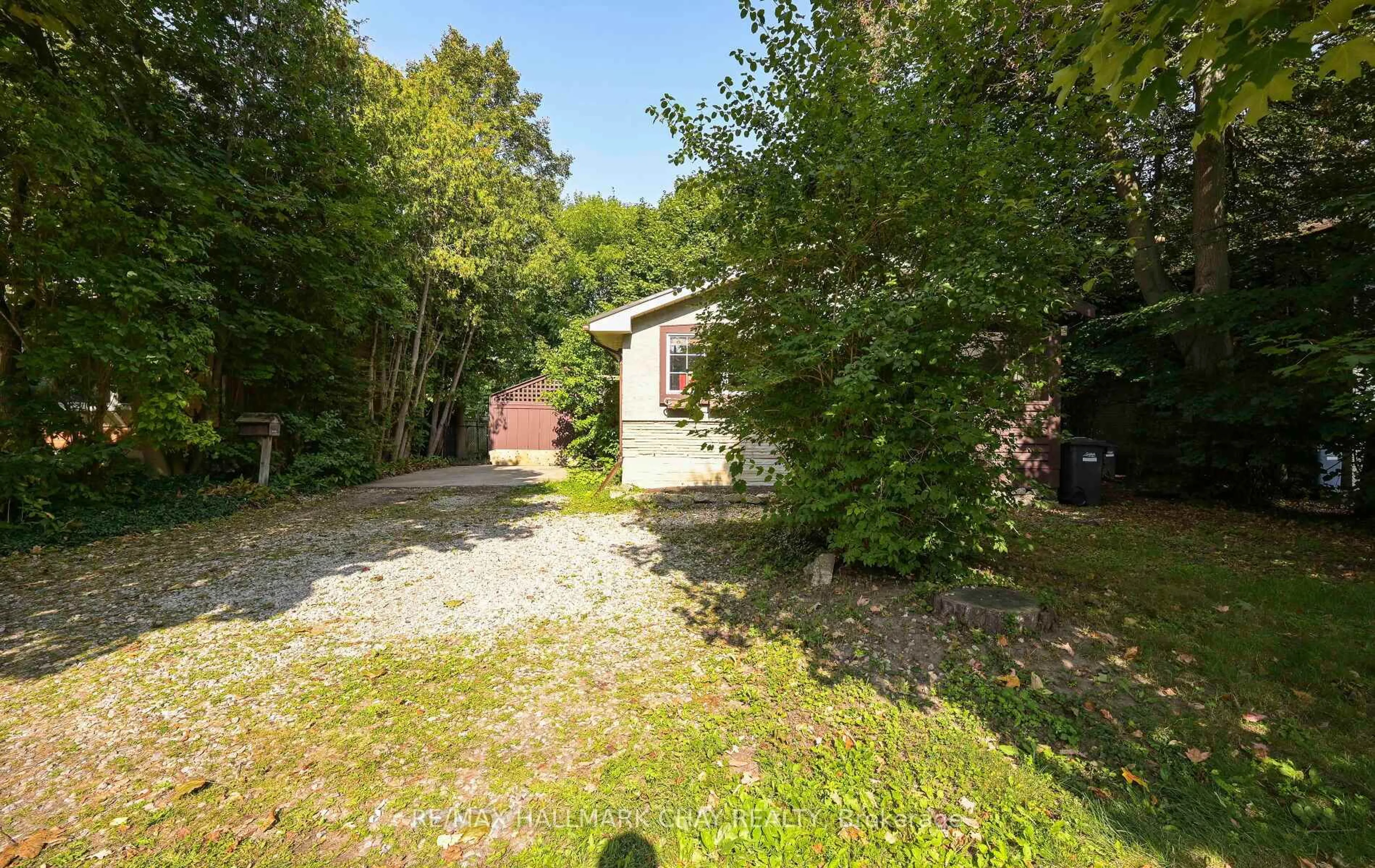 A pic from outside/outdoor area/front of a property/back of a property/a pic from drone, forest/trees view for 67 Cedar St, Guelph Ontario N1G 1C4
