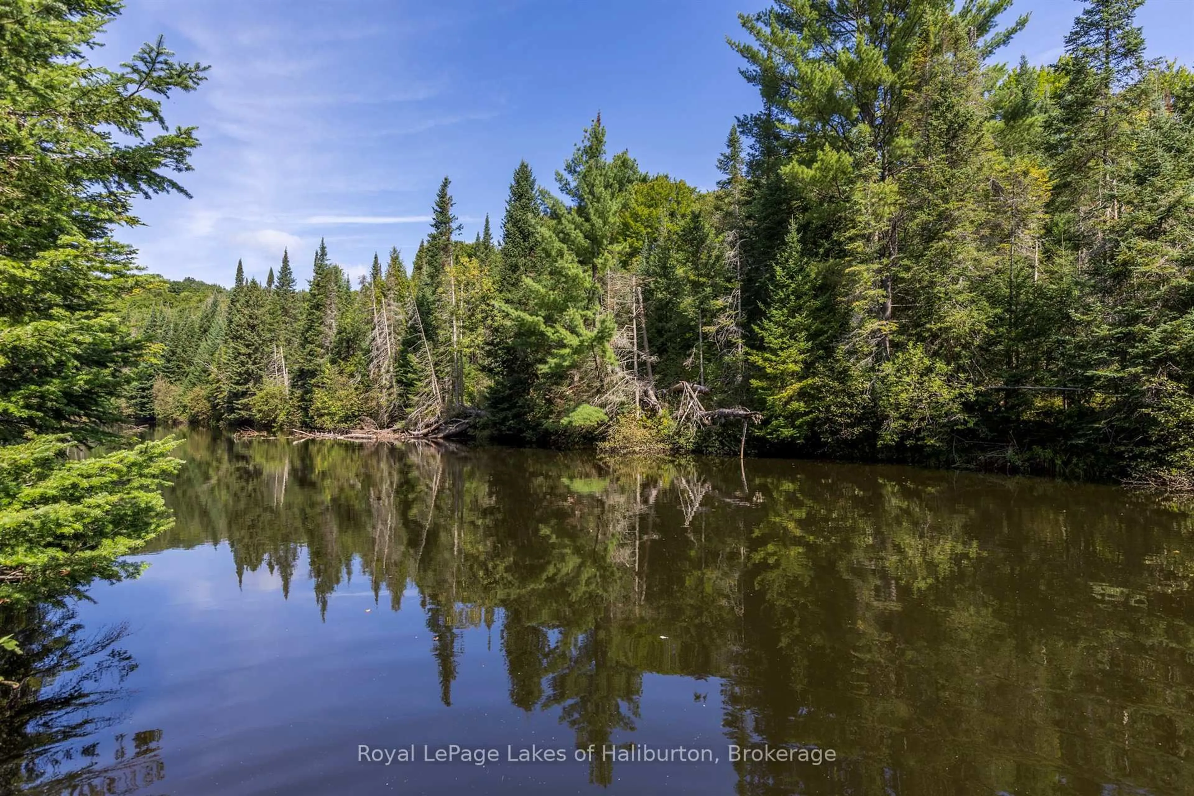 Unknown for 1880 Boldts Lane, Minden Hills Ontario K0M 2A1
