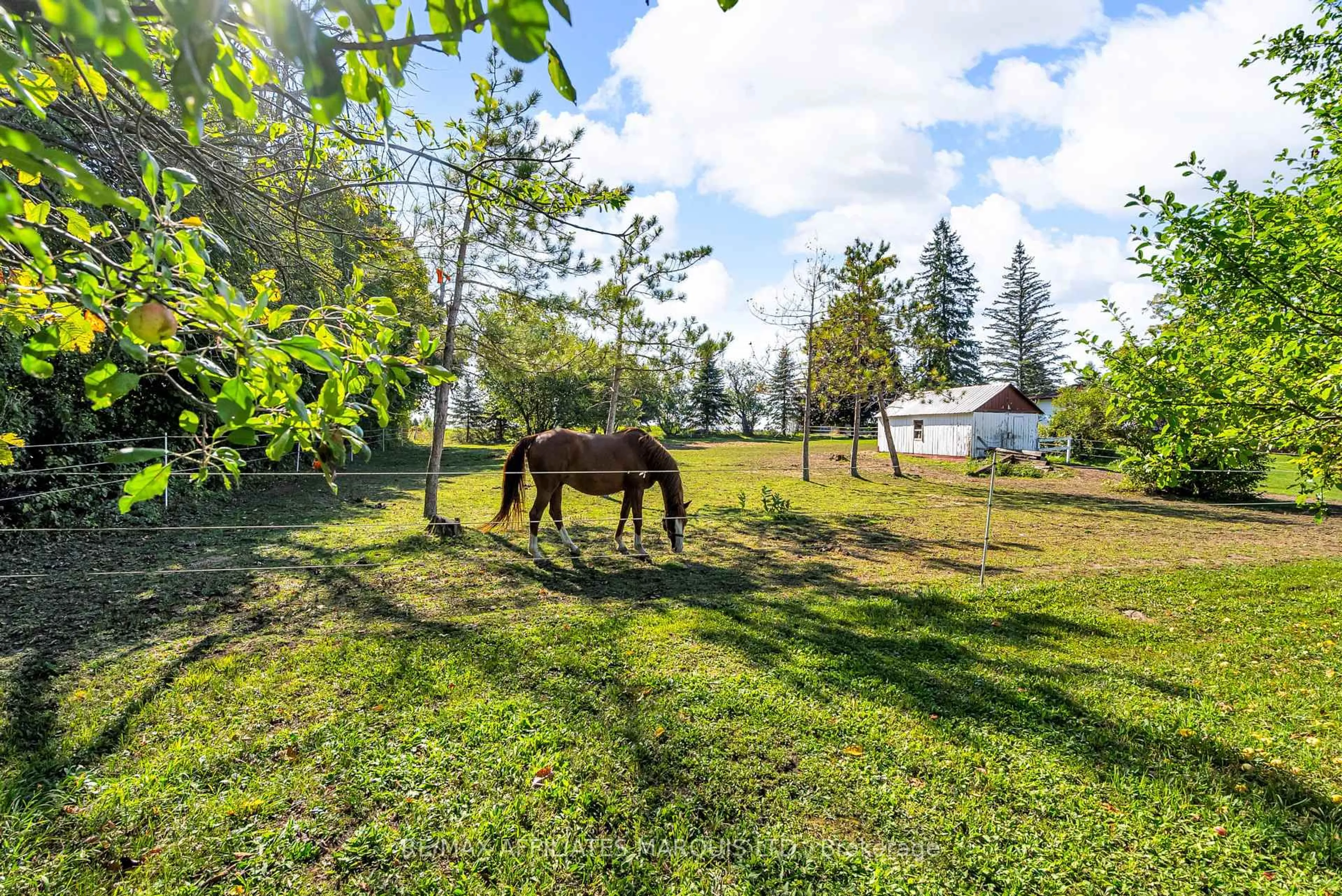 A pic from outside/outdoor area/front of a property/back of a property/a pic from drone, unknown for 18659 County Rd 19 Rd, South Glengarry Ontario K0C 2J0