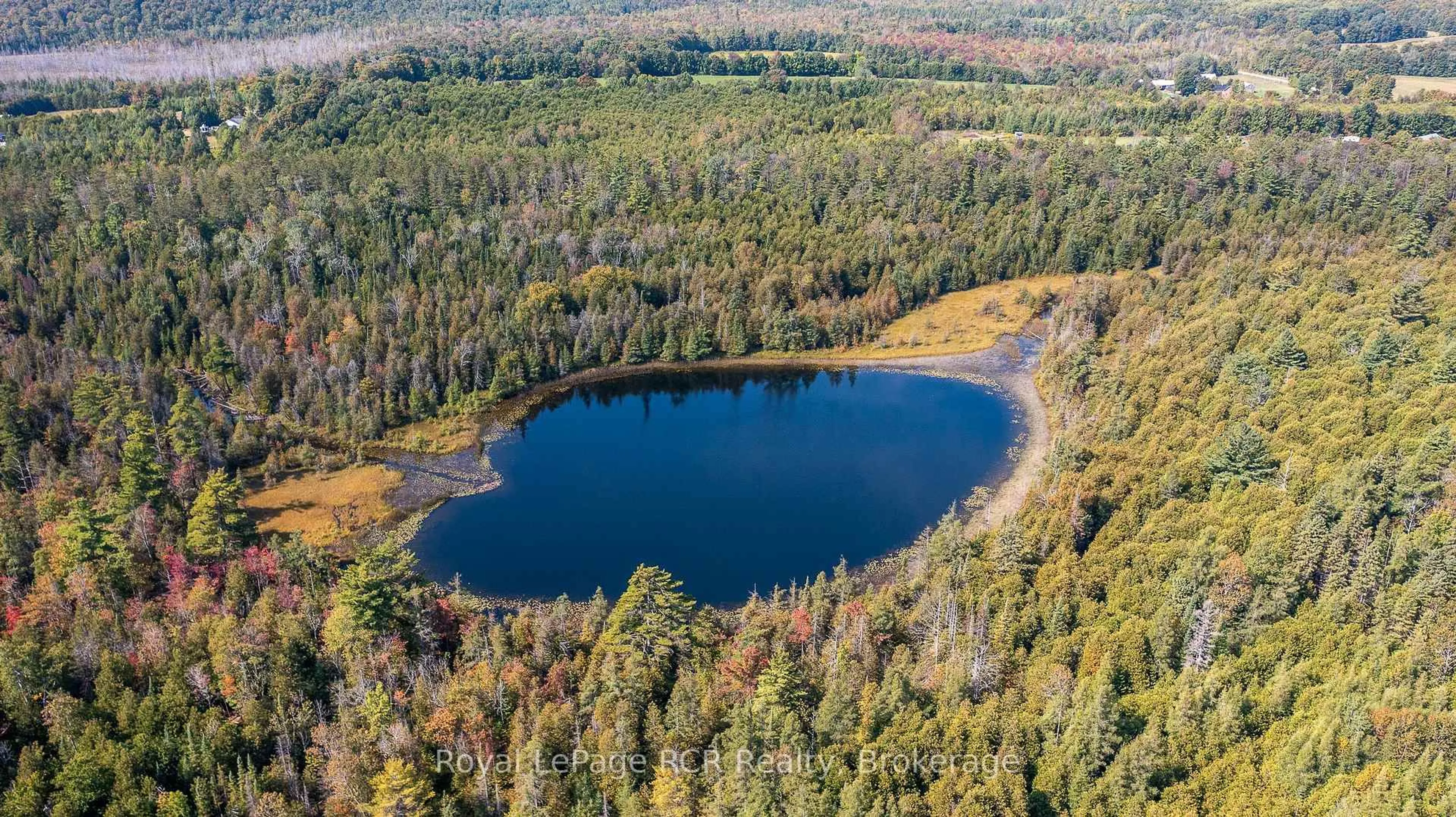 A pic from outside/outdoor area/front of a property/back of a property/a pic from drone, forest/trees view for 716612 West Back Line, Chatsworth Ontario N0H 1R0