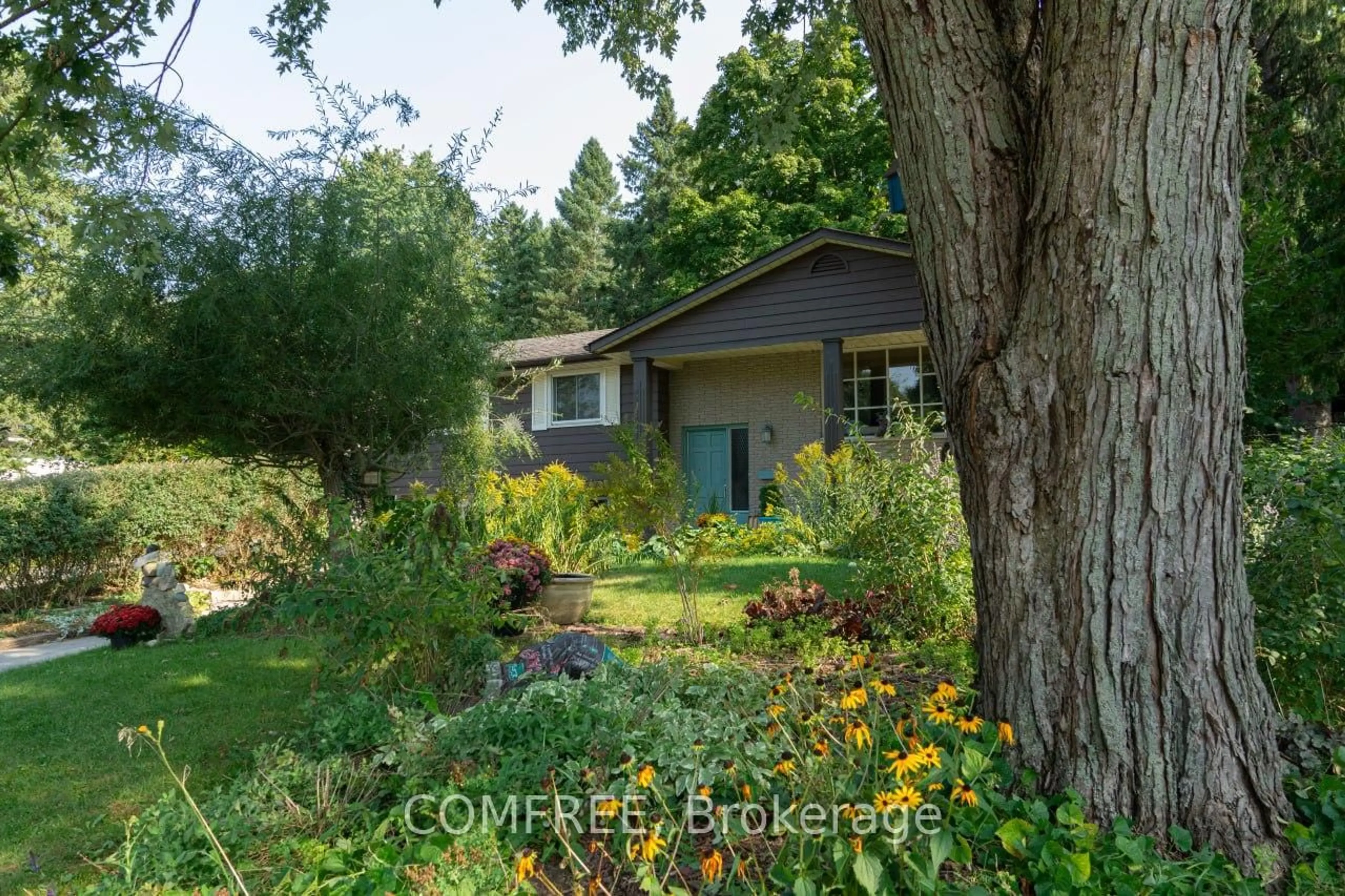 A pic from outside/outdoor area/front of a property/back of a property/a pic from drone, forest/trees view for 93 Water St, Centre Wellington Ontario N0B 1S0