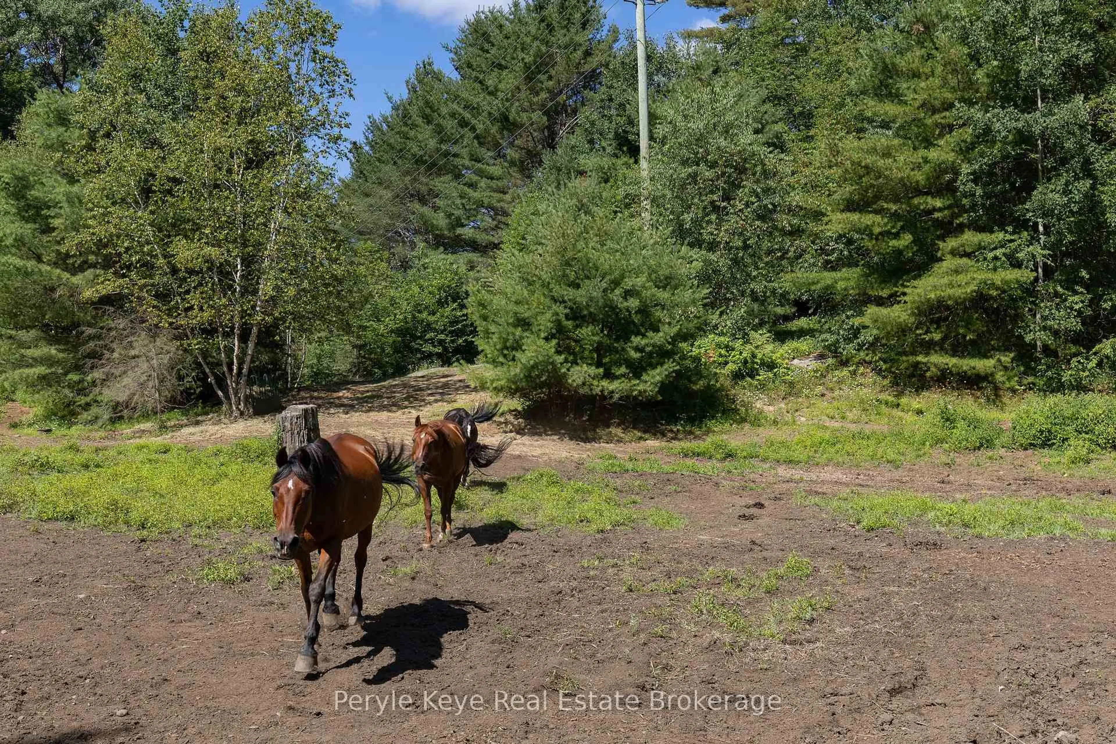 A pic from outside/outdoor area/front of a property/back of a property/a pic from drone, forest/trees view for 2322 Old Muskoka Rd, Huntsville Ontario P0B 1M0