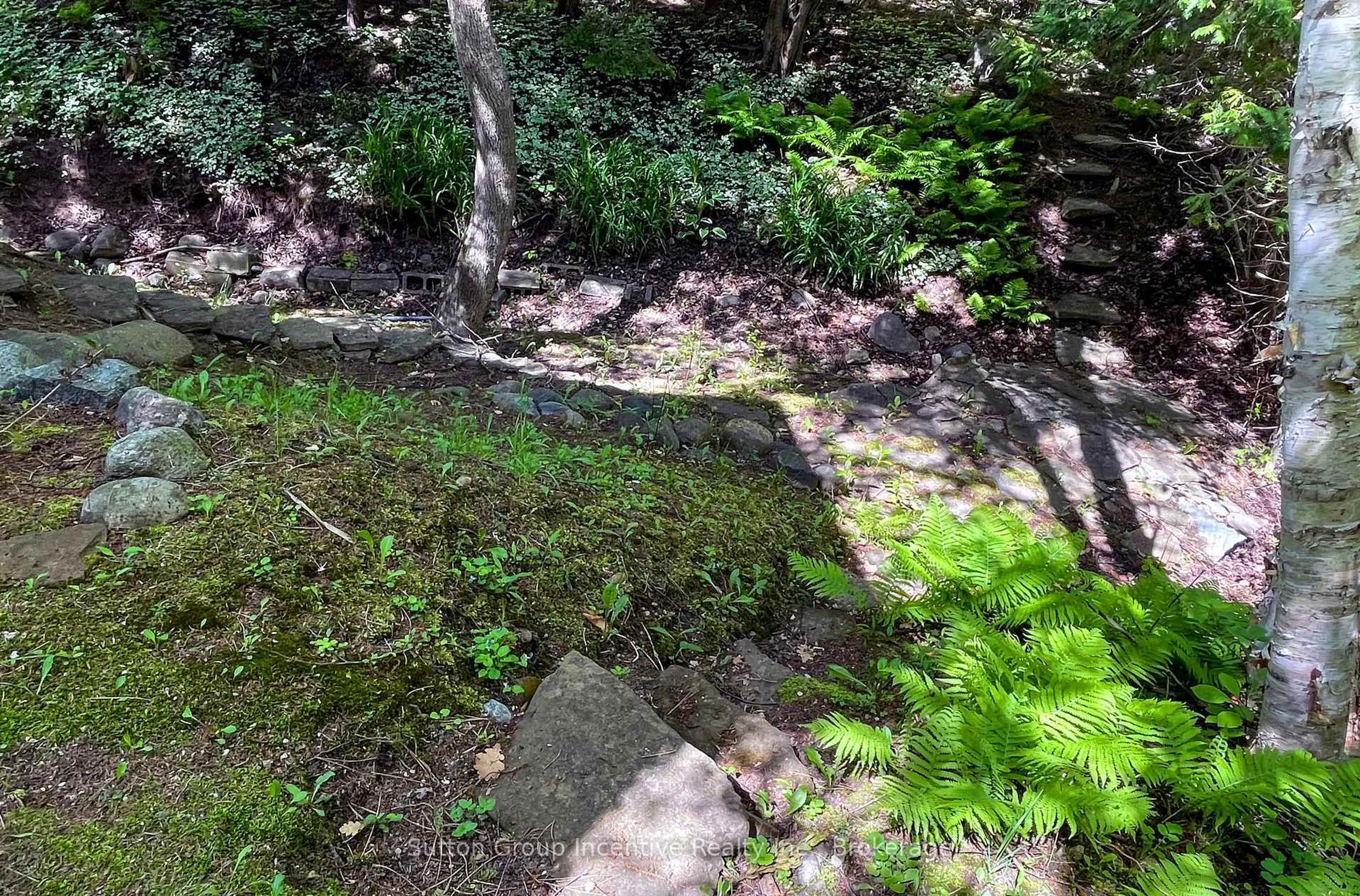 A pic from outside/outdoor area/front of a property/back of a property/a pic from drone, forest/trees view for 187 Arlberg Cres, Blue Mountains Ontario L9Y 0M1