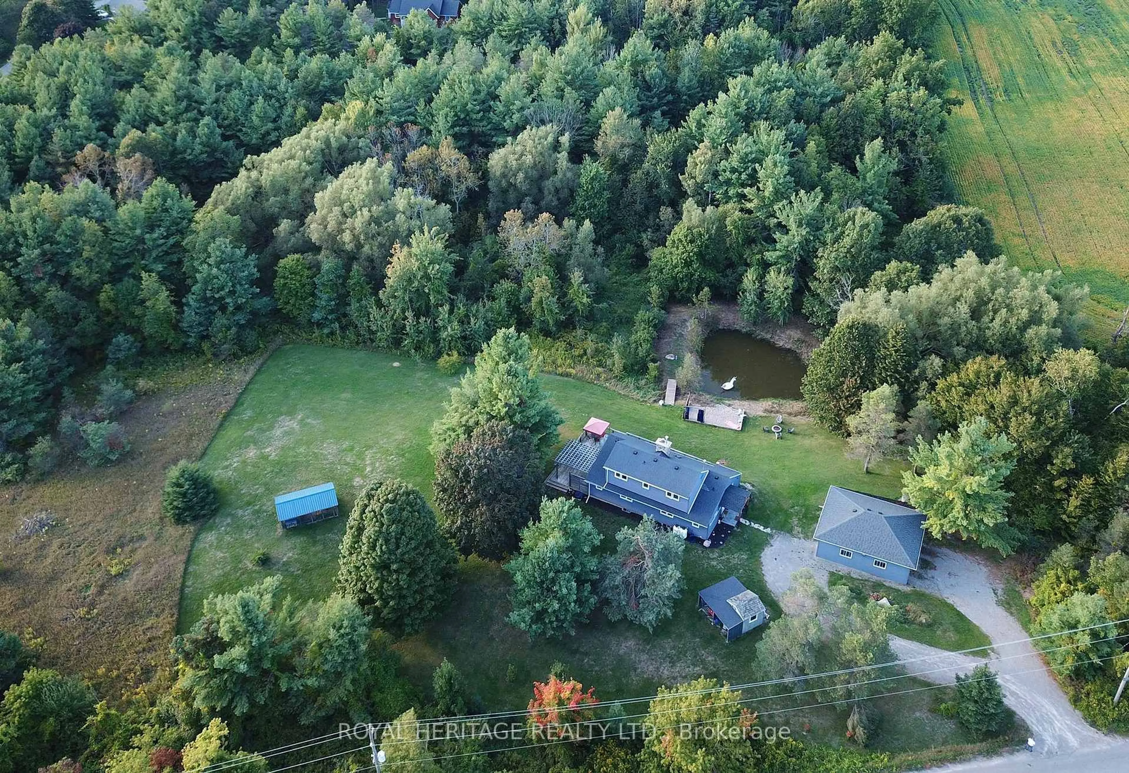 A pic from outside/outdoor area/front of a property/back of a property/a pic from drone, forest/trees view for 9976 Community Centre Rd, Alnwick/Haldimand Ontario K0K 1C0
