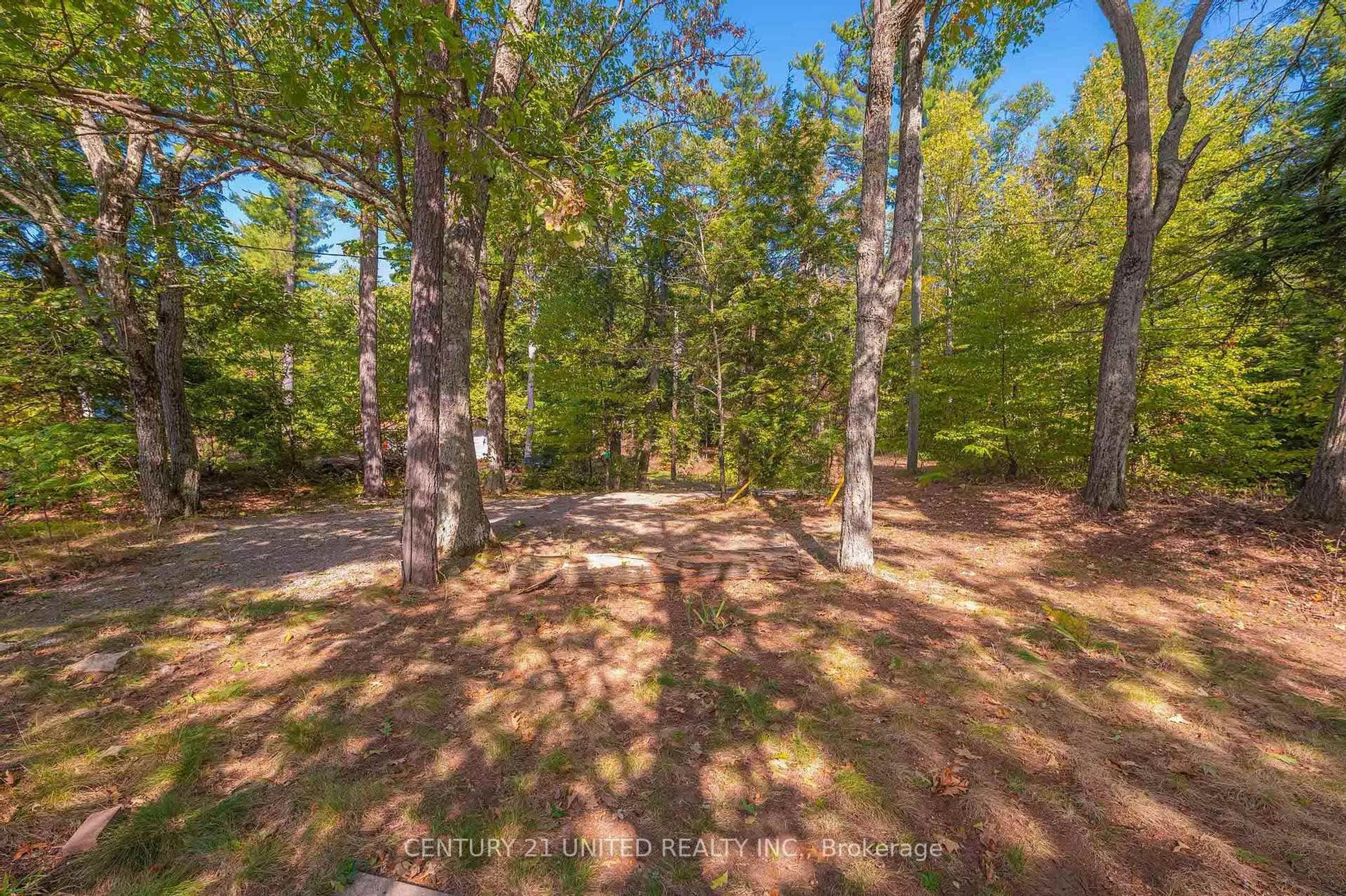 A pic from outside/outdoor area/front of a property/back of a property/a pic from drone, forest/trees view for 20 Fire Route 147, Trent Lakes Ontario K0L 1J0