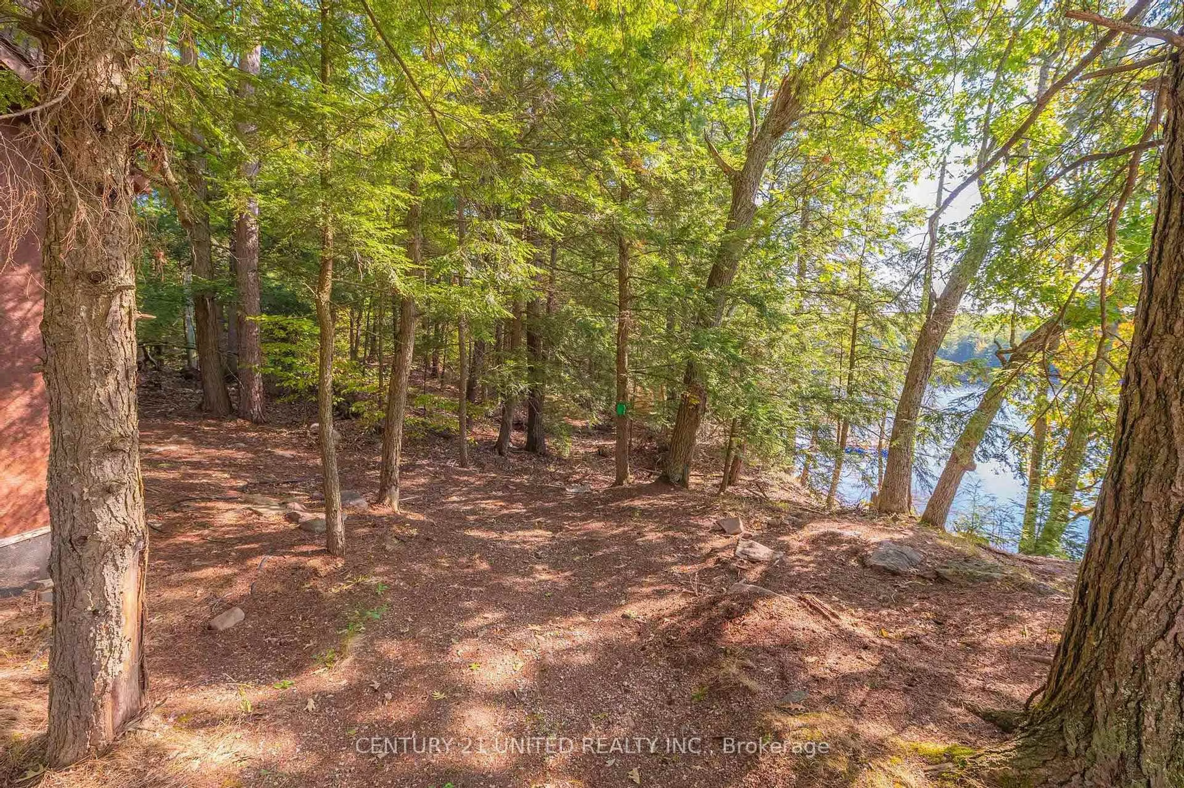 A pic from outside/outdoor area/front of a property/back of a property/a pic from drone, forest/trees view for 20 Fire Route 147, Trent Lakes Ontario K0L 1J0