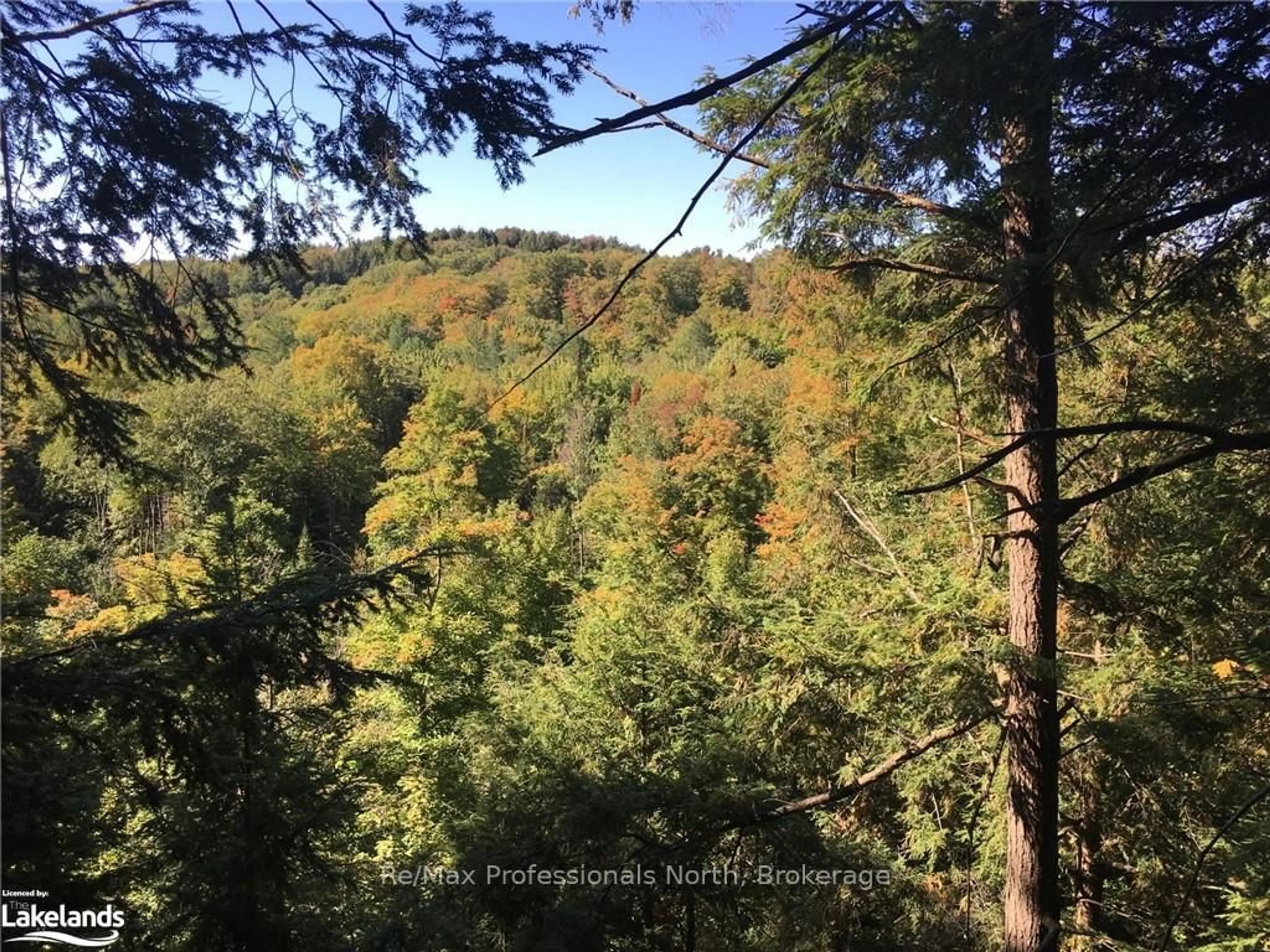 A pic from outside/outdoor area/front of a property/back of a property/a pic from drone, forest/trees view for 2180-2186 HIGHWAY 141, Muskoka Lakes Ontario P0B 1M0