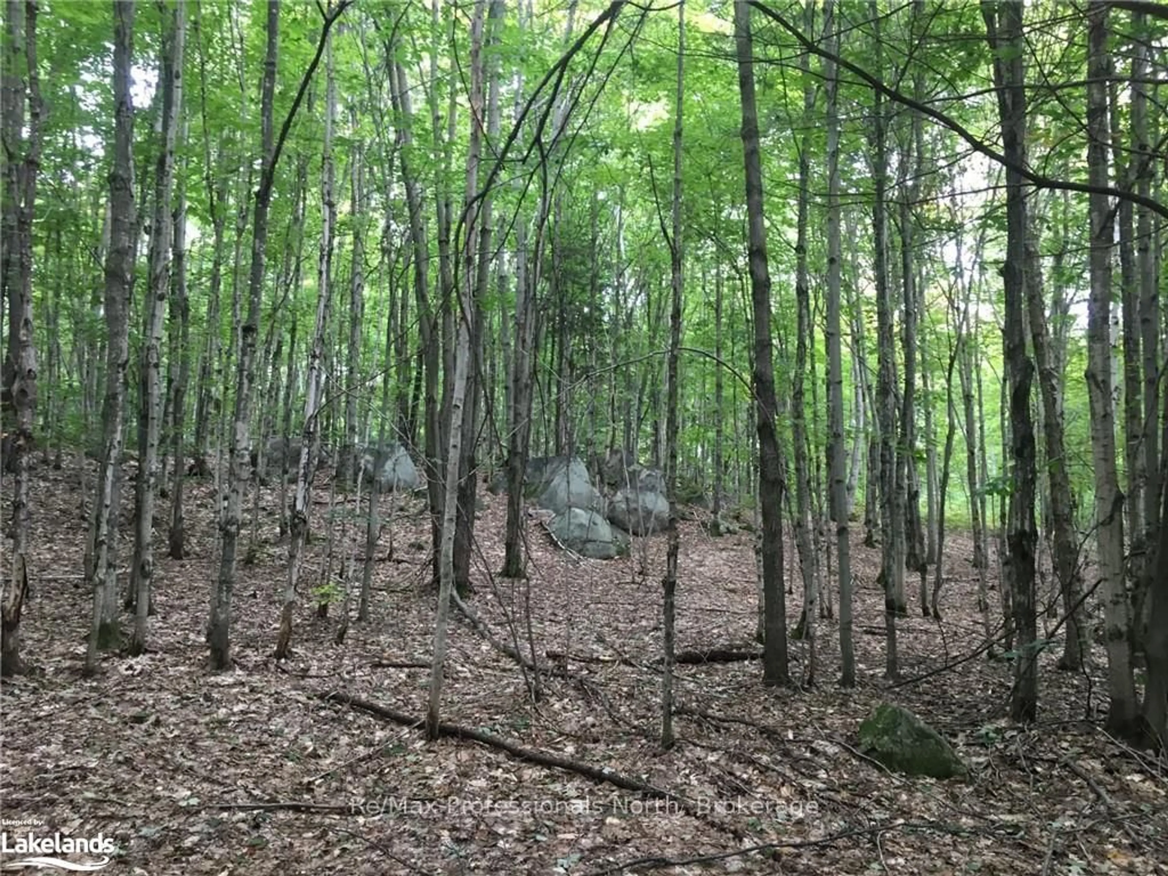 Blurry image for 2180-2186 HIGHWAY 141, Muskoka Lakes Ontario P0B 1M0