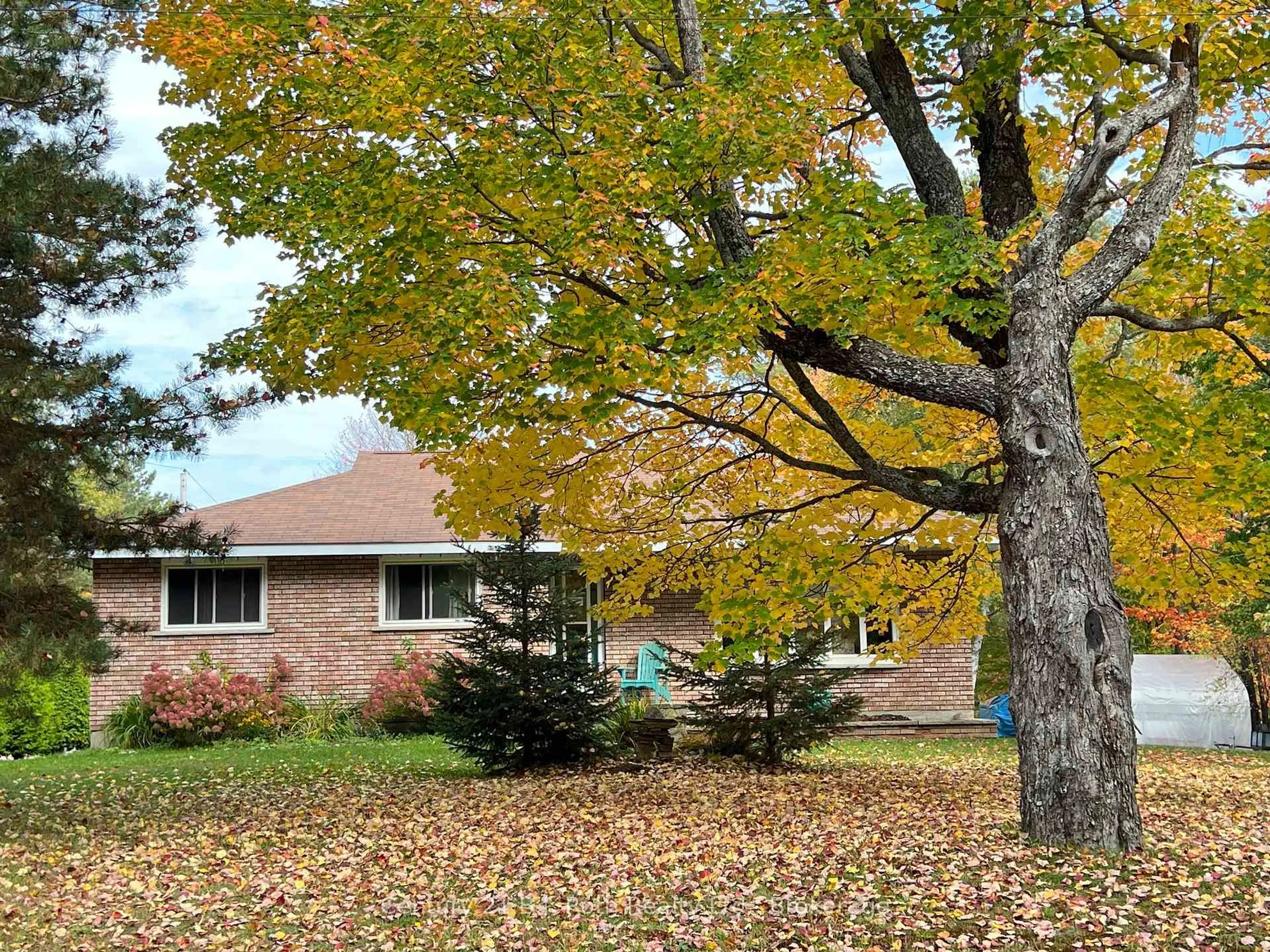 Home with brick exterior material, forest/trees view for 79 Albert St, Sundridge Ontario P0A 1Z0