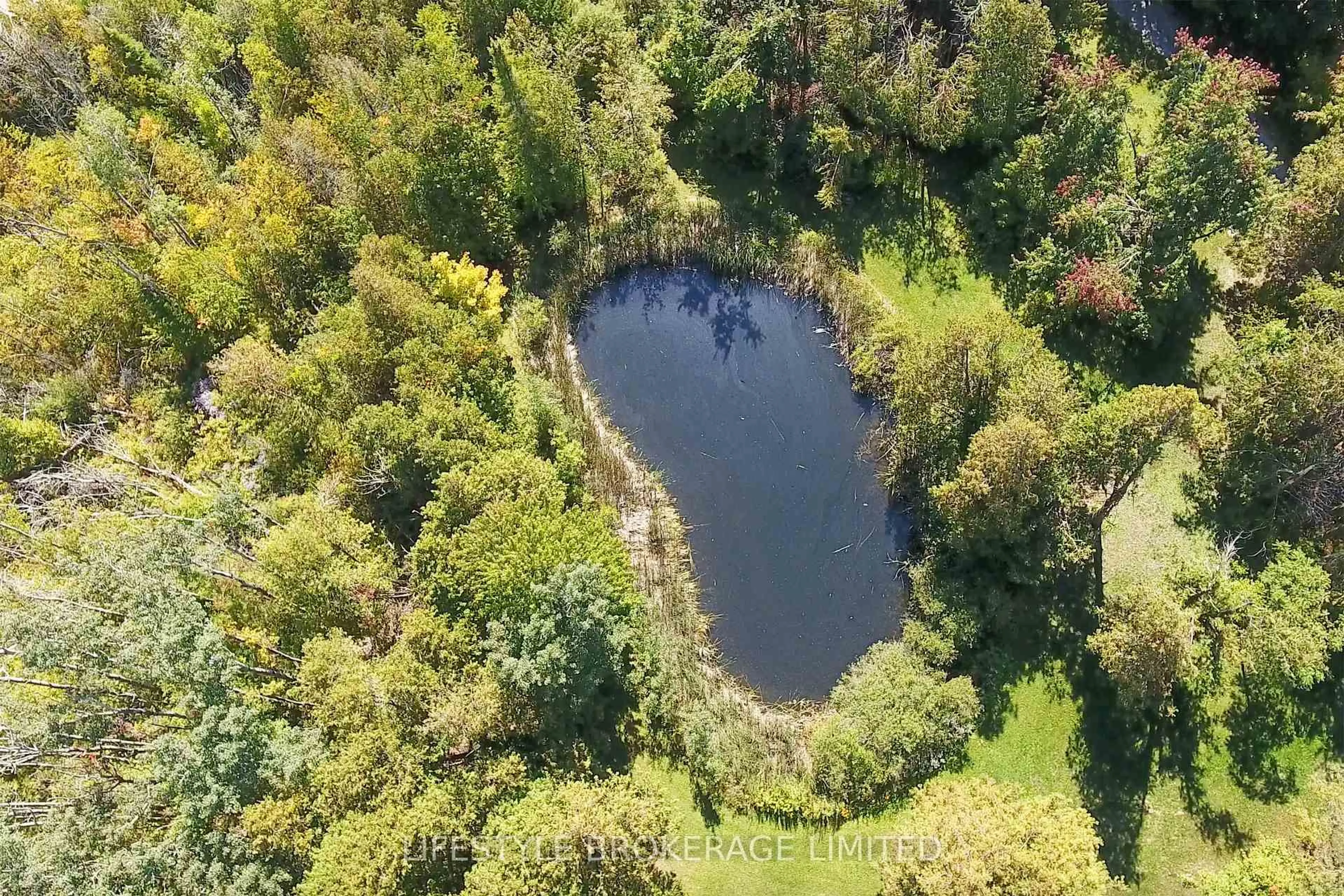 A pic from outside/outdoor area/front of a property/back of a property/a pic from drone, forest/trees view for 365 Royal Oak Rd, Kawartha Lakes Ontario K0M 2J0