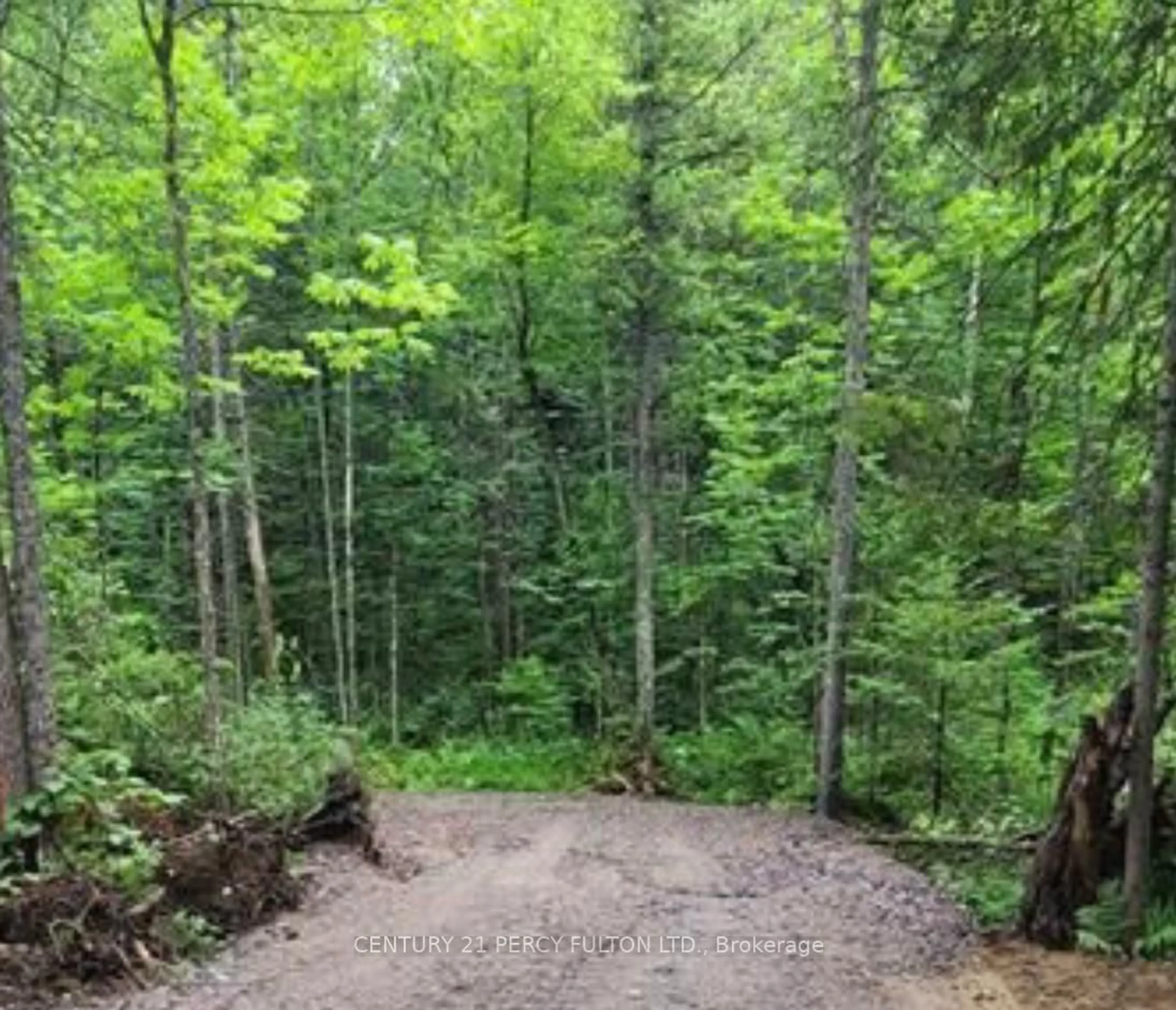 Unknown for 1161 Miriam Dr, Bracebridge Ontario P1L 1X1