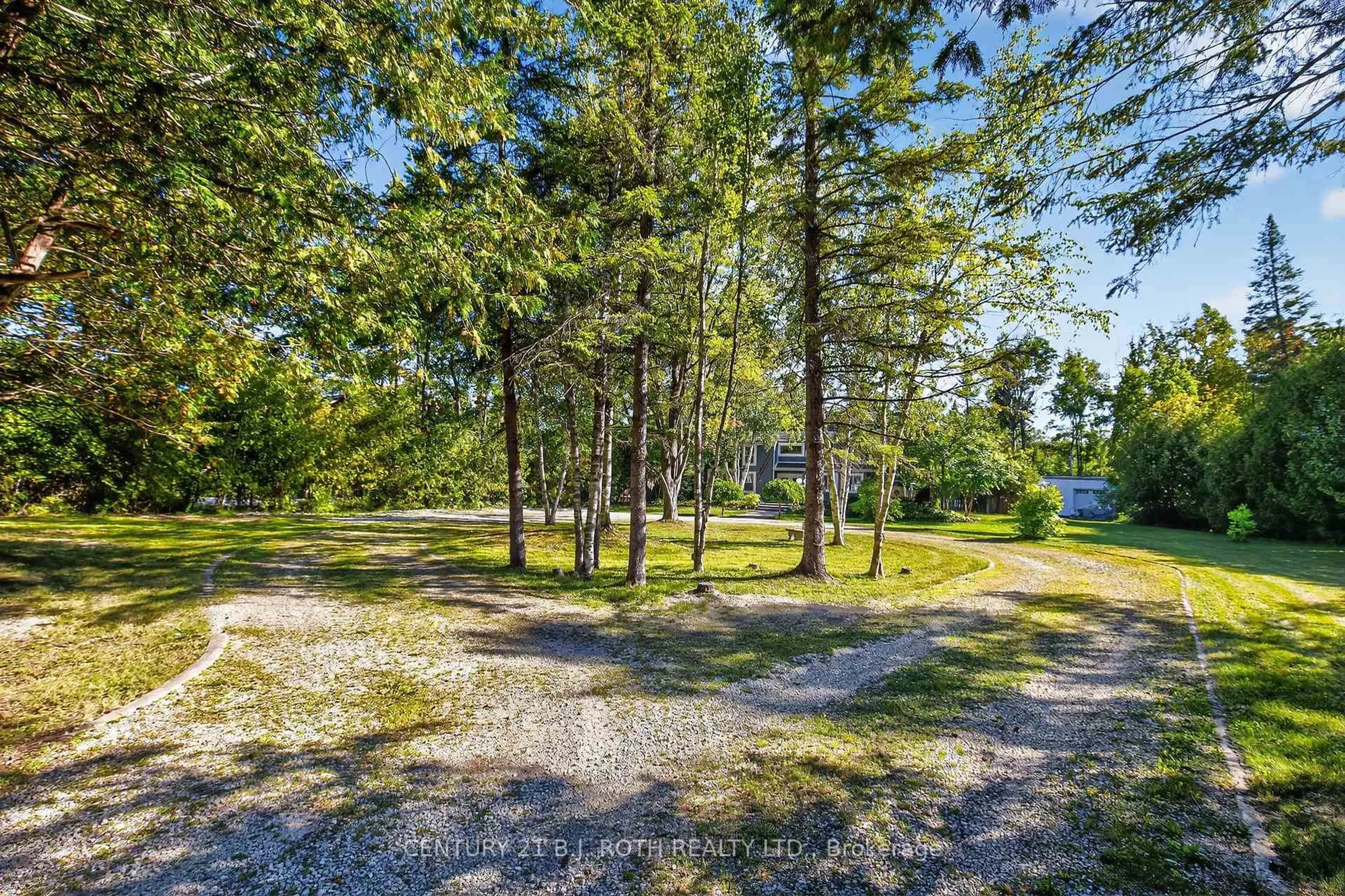 A pic from outside/outdoor area/front of a property/back of a property/a pic from drone, forest/trees view for 209846 26 Highway, Blue Mountains Ontario L9Y 0L1