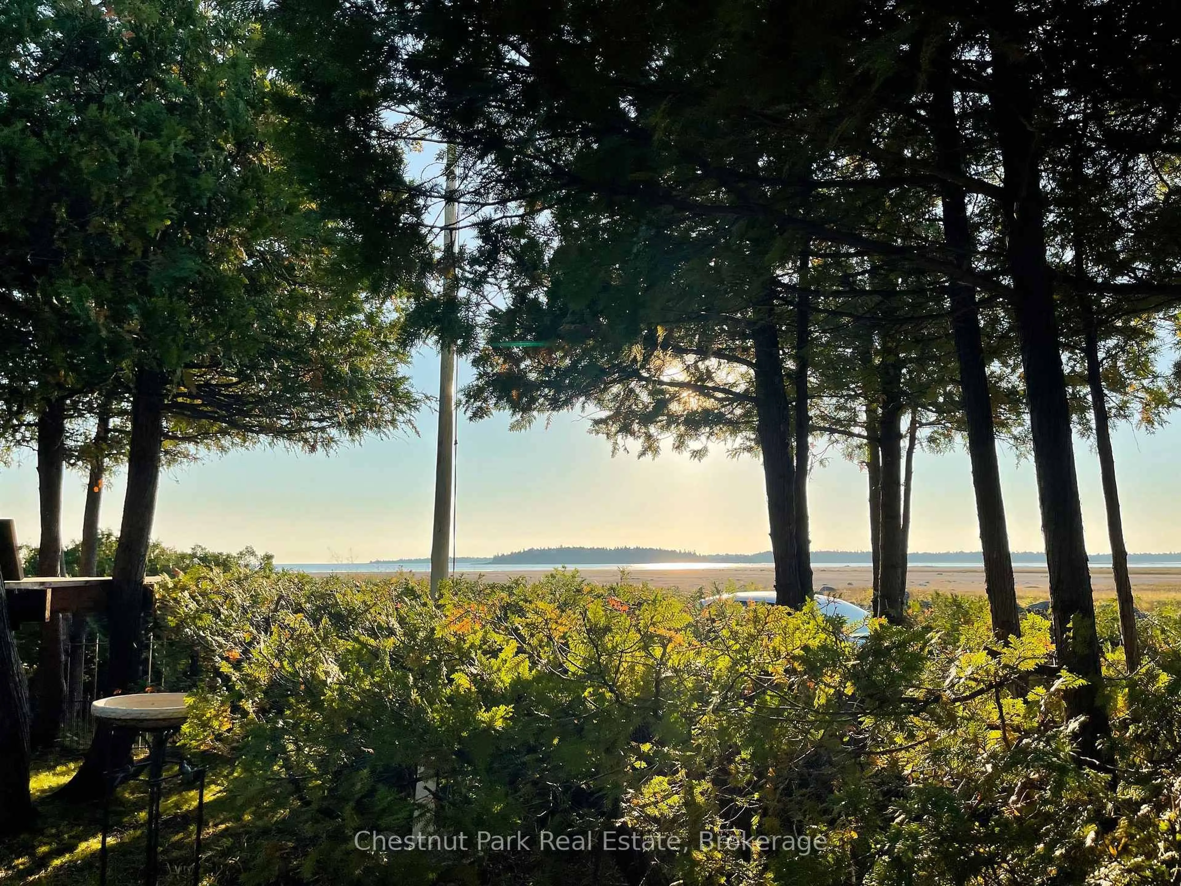 A pic from outside/outdoor area/front of a property/back of a property/a pic from drone, forest/trees view for 111 Bay St, South Bruce Peninsula Ontario N0H 2T0