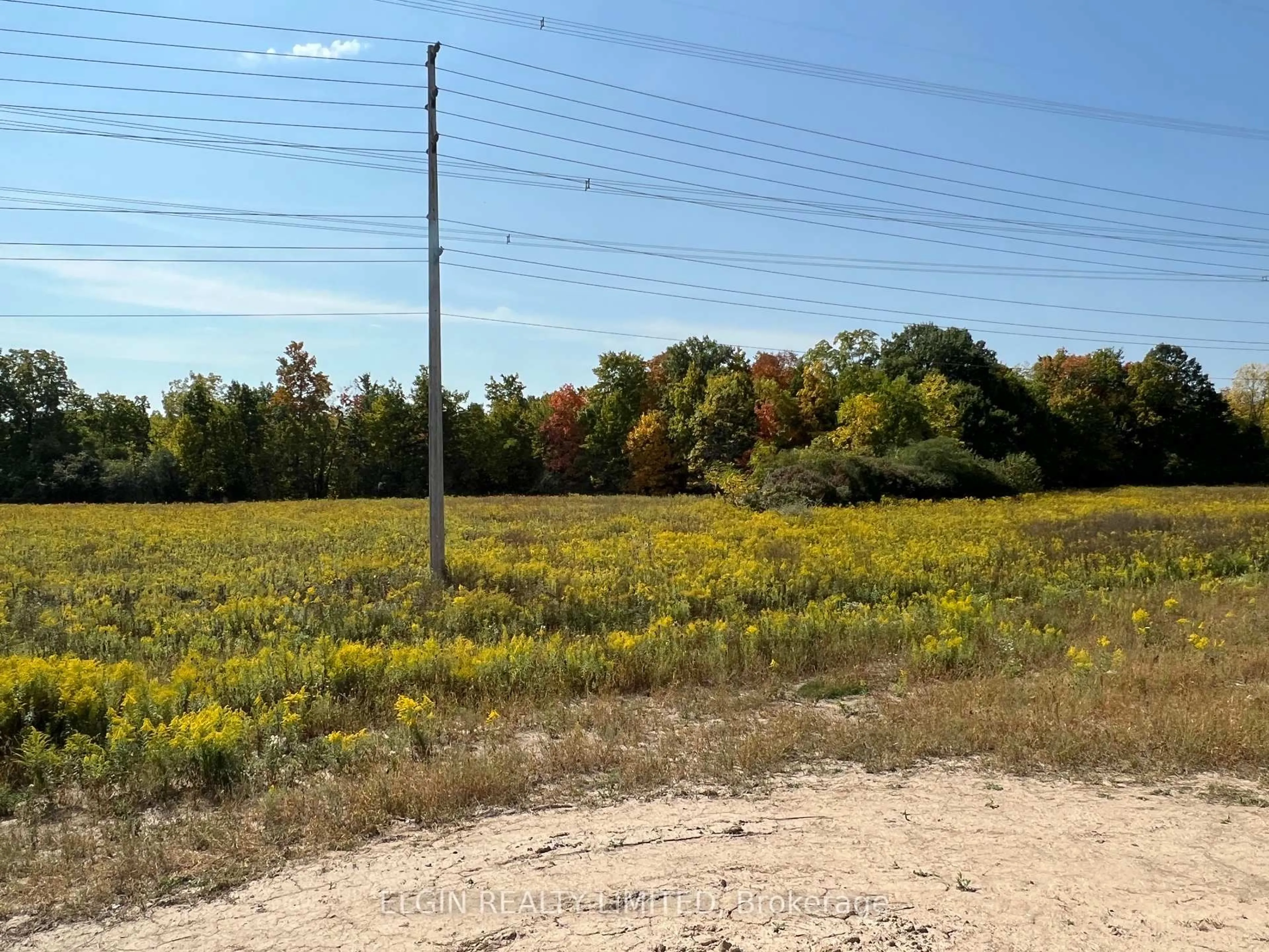 Blurry image for 7 Columbus Crt, Central Elgin Ontario N5P 0E5