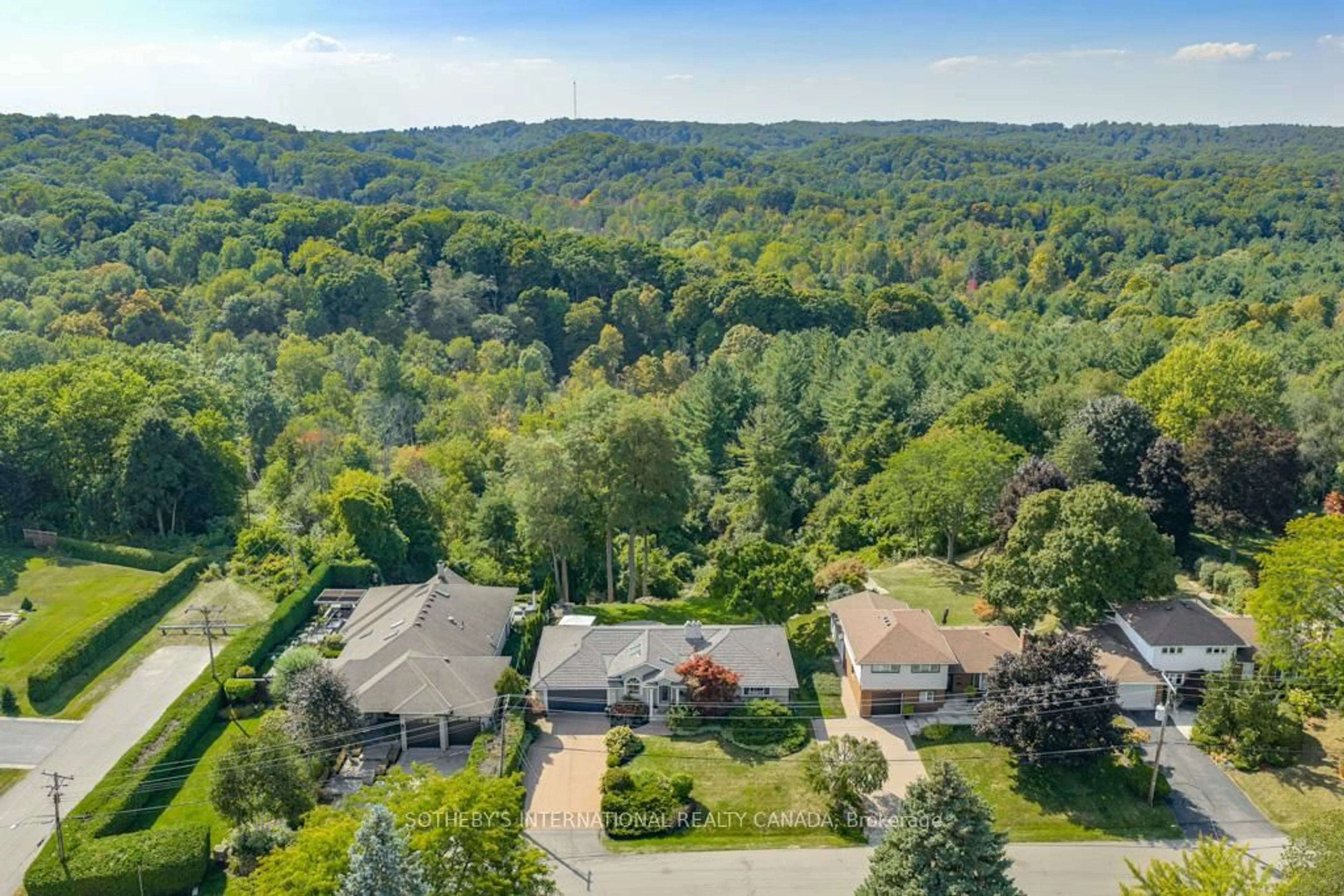 A pic from outside/outdoor area/front of a property/back of a property/a pic from drone, forest/trees view for 244 Brookview Crt, Hamilton Ontario L9G 1J8
