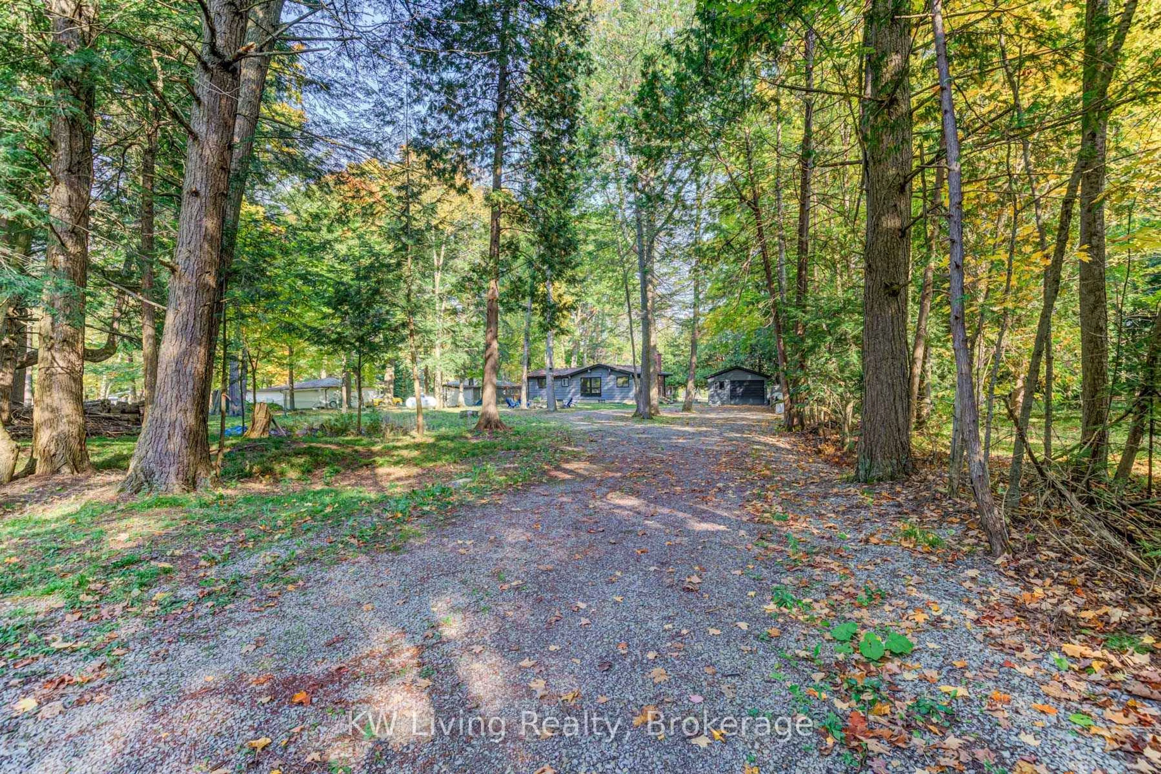 A pic from outside/outdoor area/front of a property/back of a property/a pic from drone, forest/trees view for 6 Cardinal Dr, Kawartha Lakes Ontario K0M 2T0