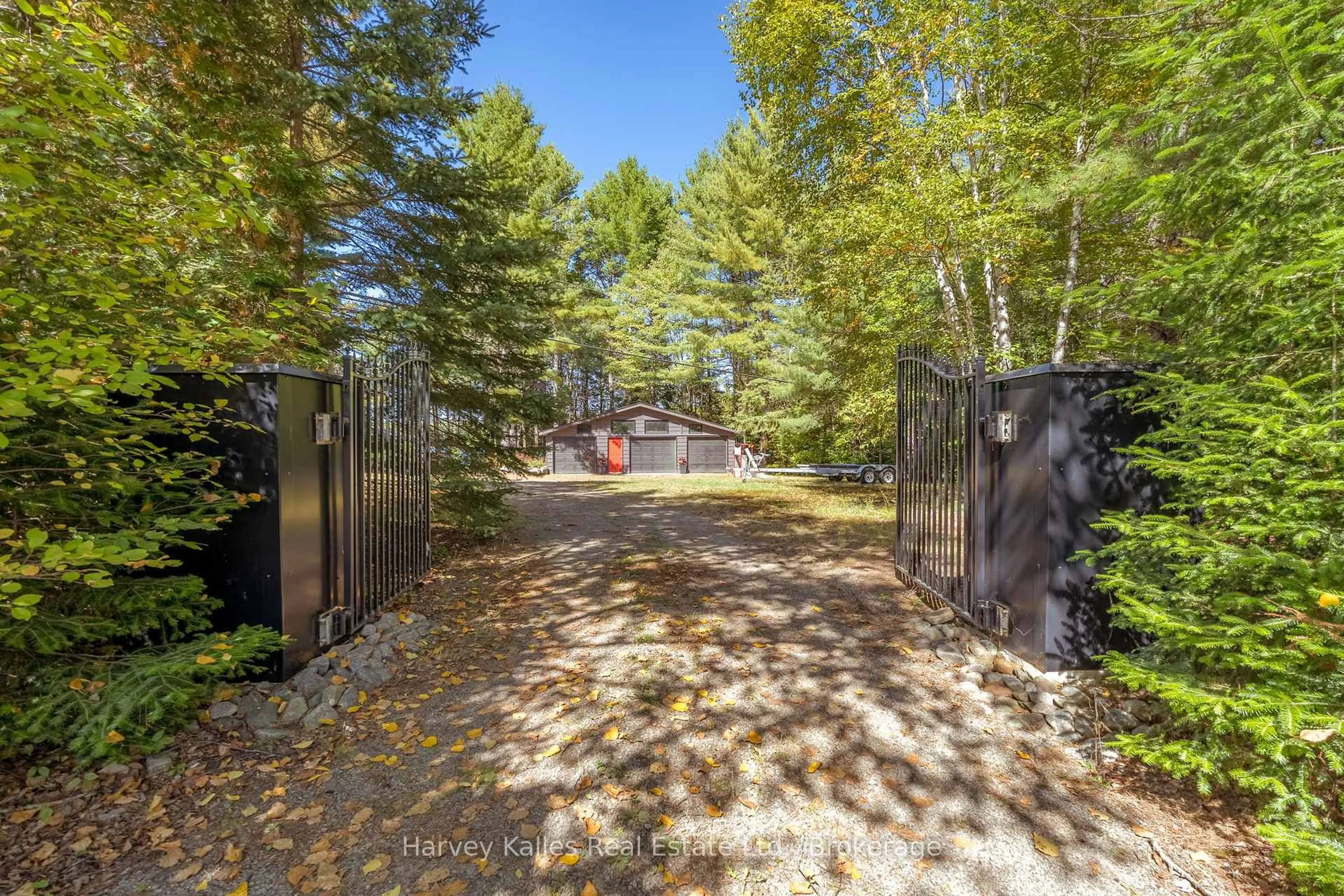 A pic from outside/outdoor area/front of a property/back of a property/a pic from drone, forest/trees view for 1003 Hollow Rd, Algonquin Highlands Ontario P0A 1E0