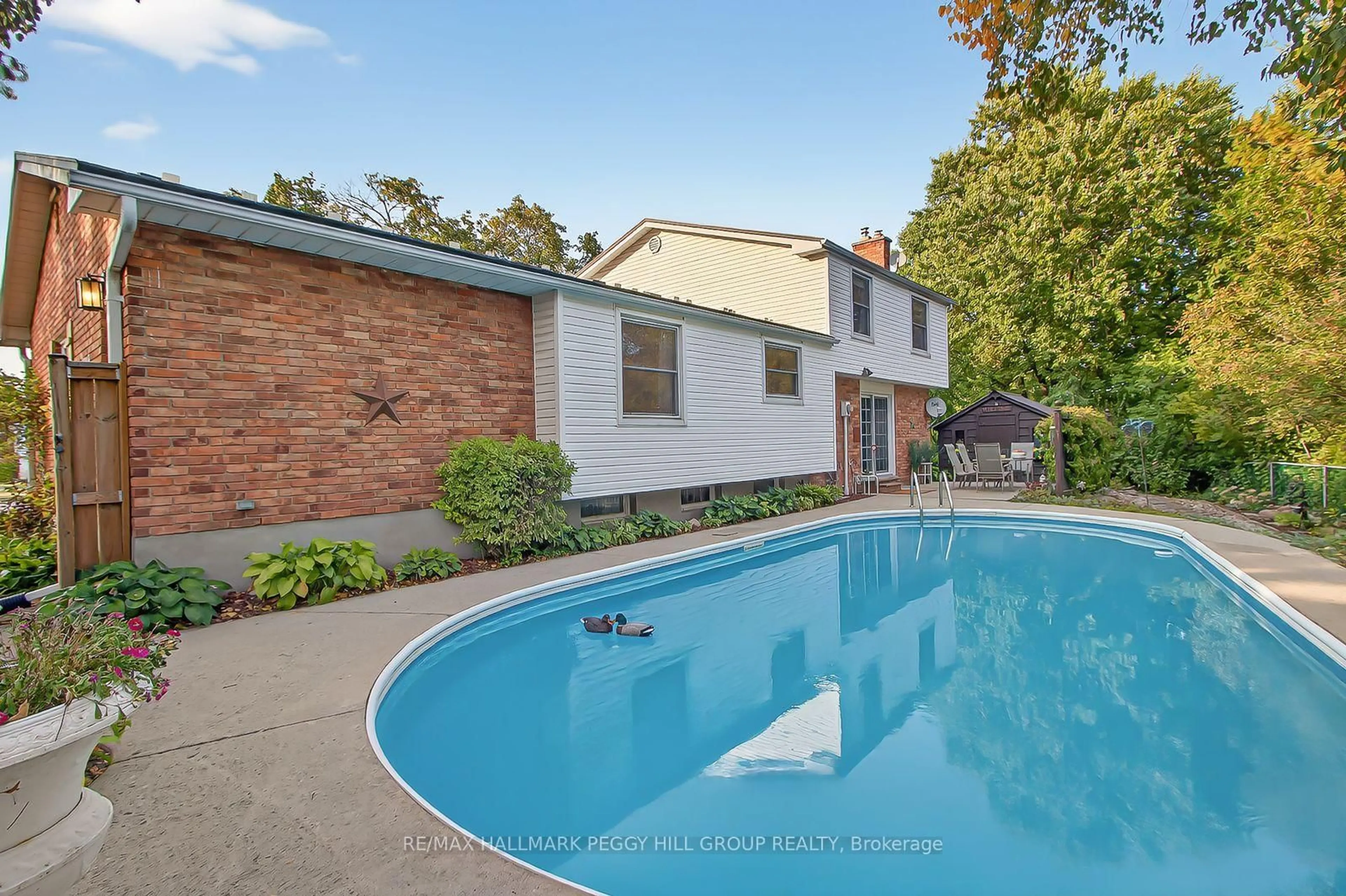 Pool for 1 Jason Crt, London South Ontario N6J 2B9