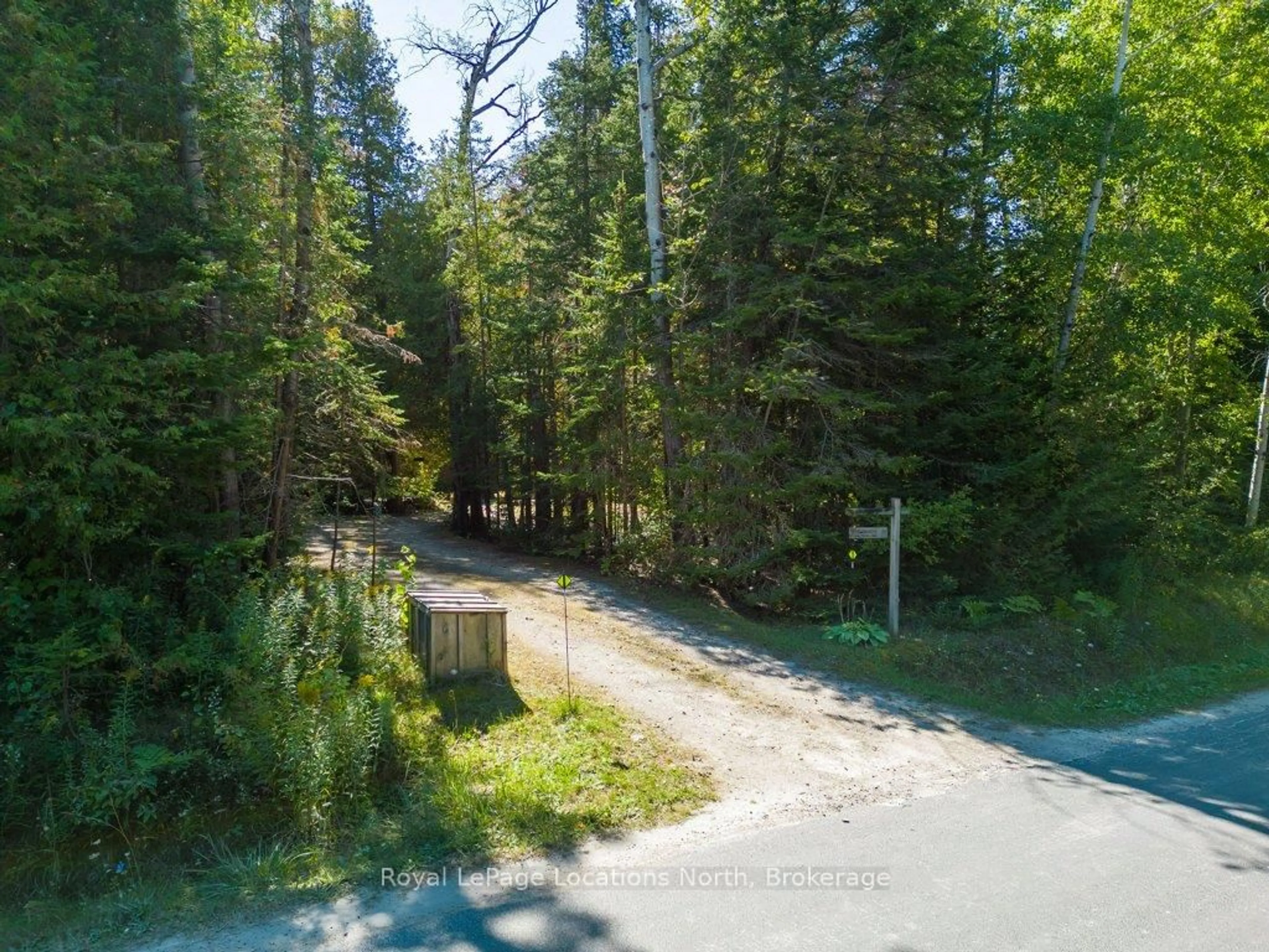 A pic from outside/outdoor area/front of a property/back of a property/a pic from drone, forest/trees view for 112 Cameron St, Blue Mountains Ontario N0H 2P0