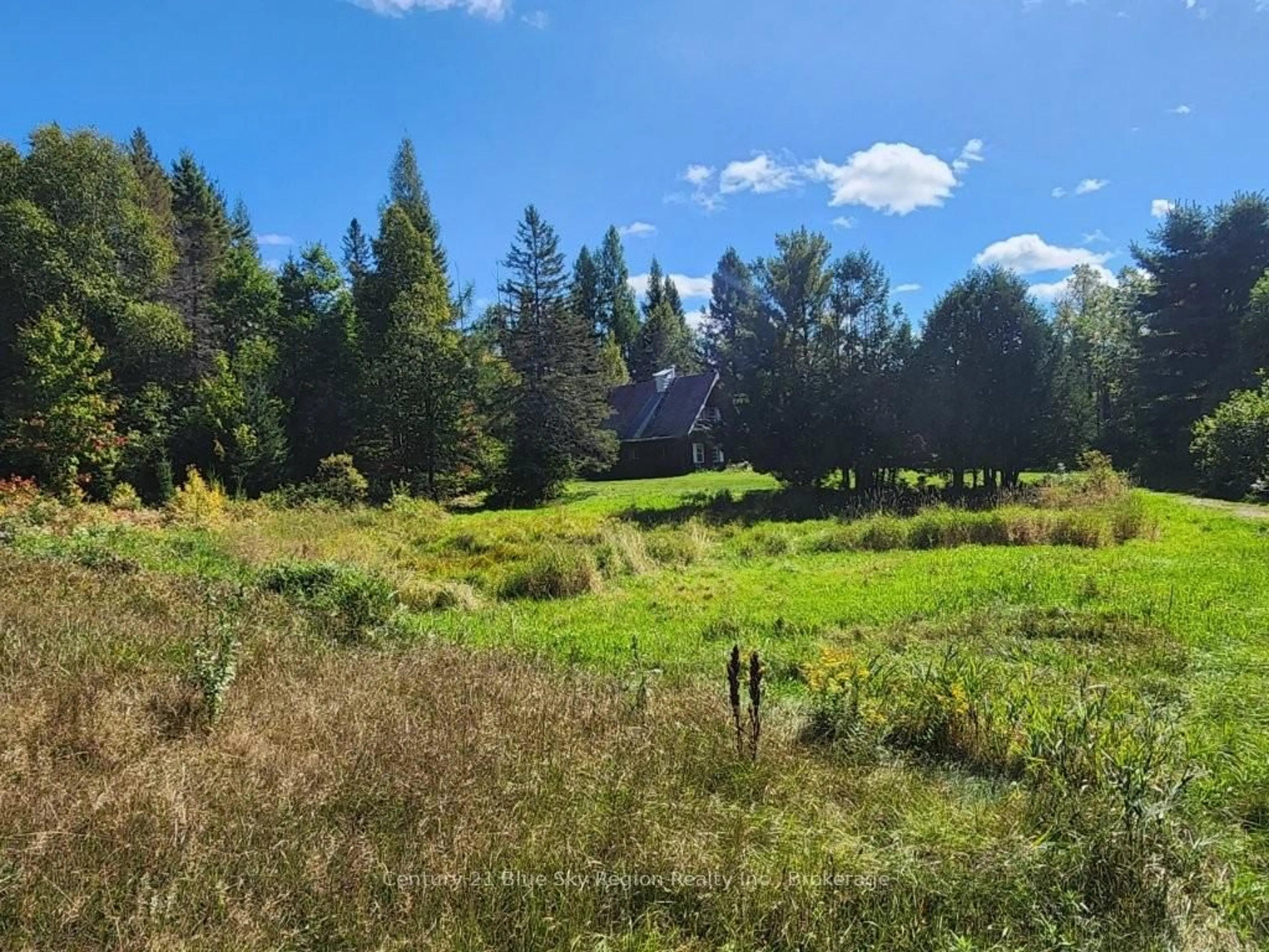 A pic from outside/outdoor area/front of a property/back of a property/a pic from drone, forest/trees view for 132 Grand Desert Rd, Bonfield Ontario P0H 1E0