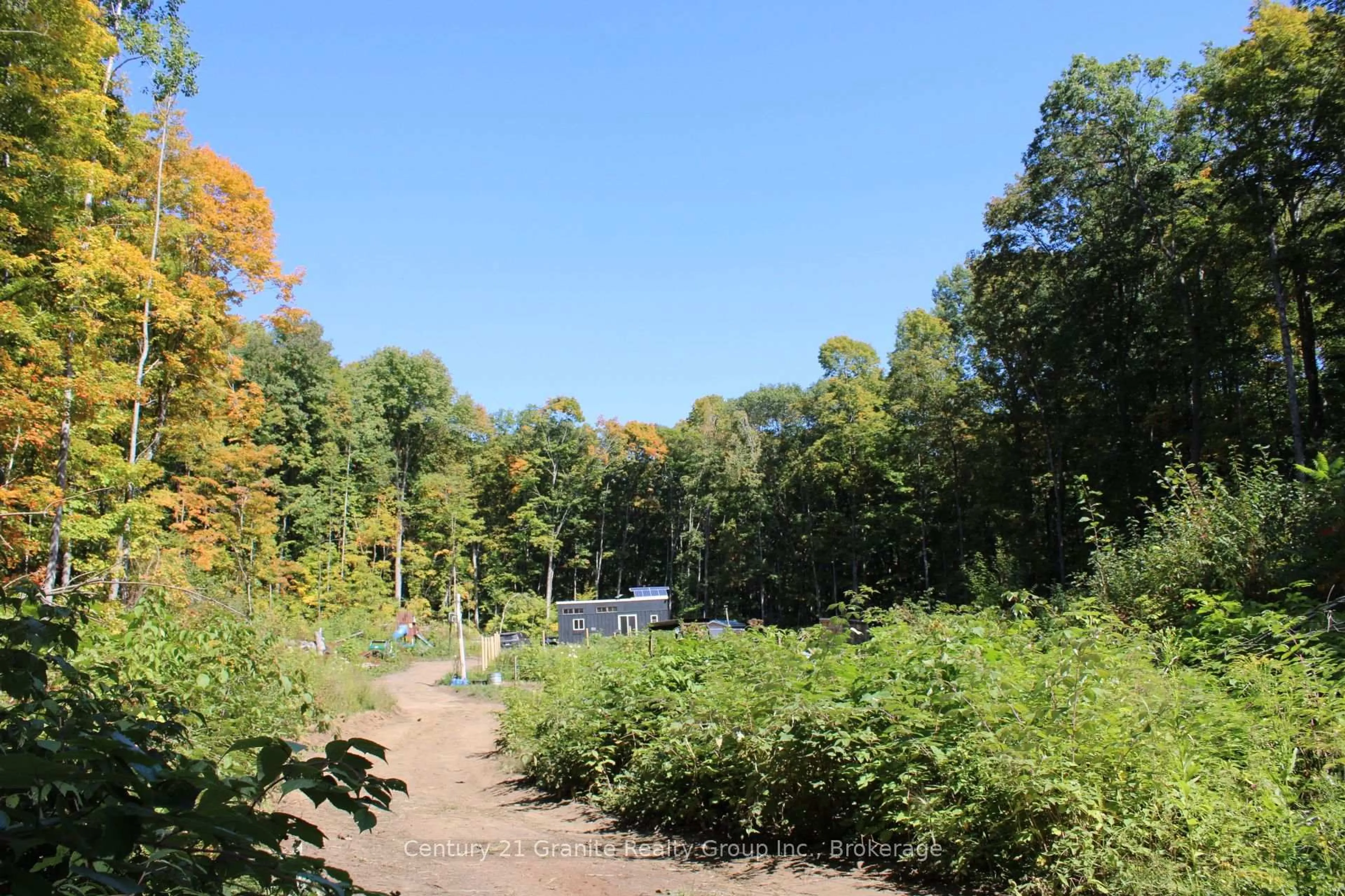Patio, forest/trees view for 1295 Binscarth Tr, Dysart et al Ontario K0M 1S0