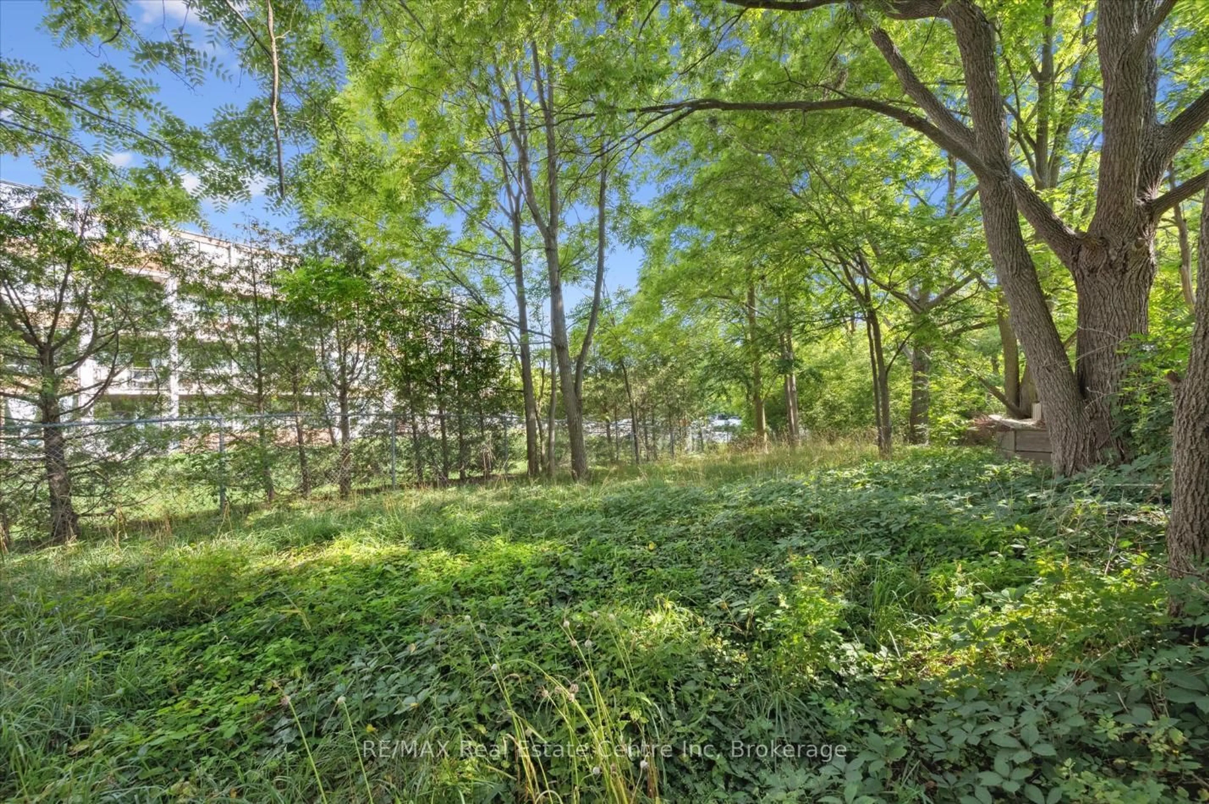 Patio, forest/trees view for 265 London Rd, Guelph Ontario N1H 2C7
