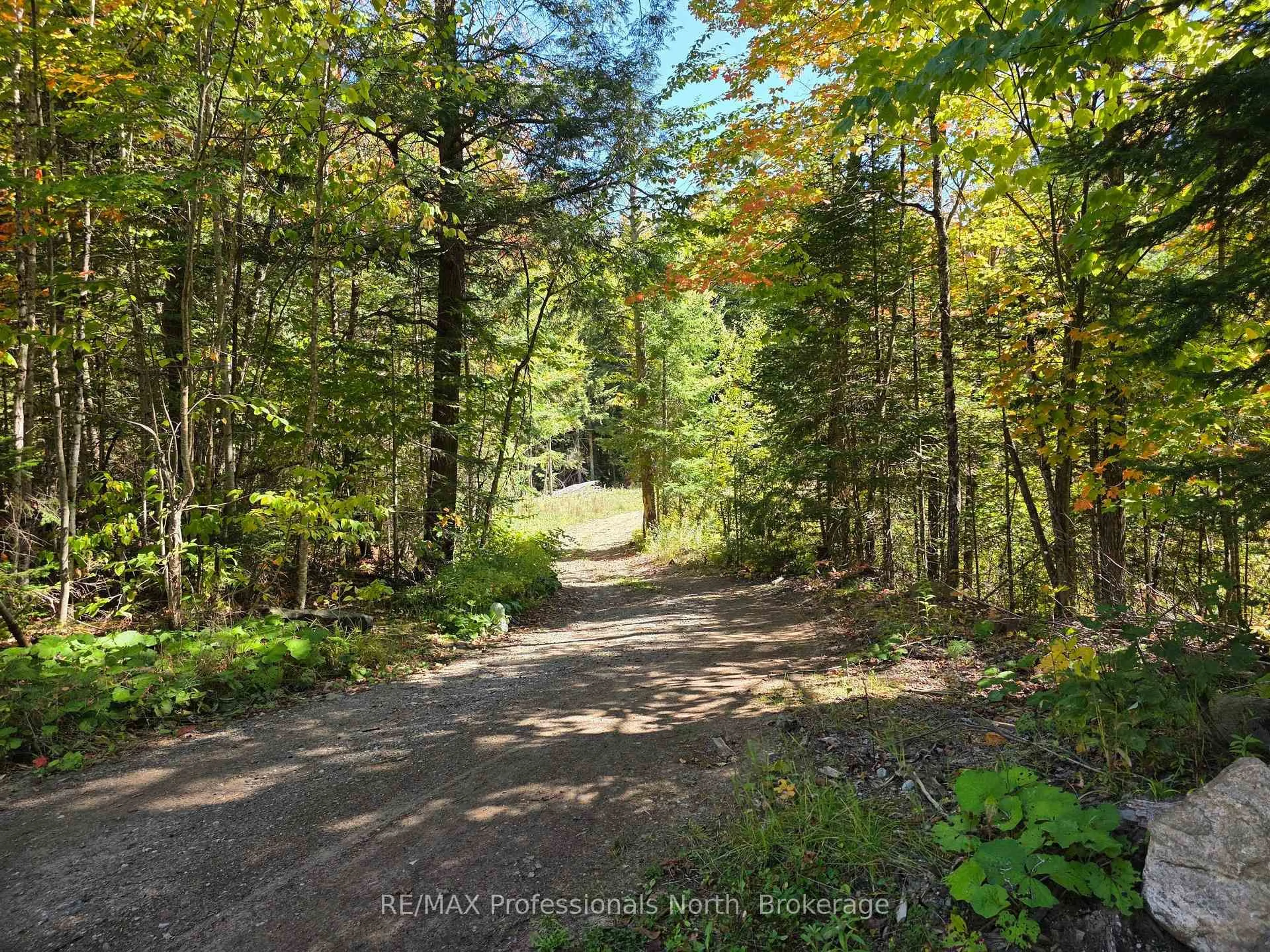 Unknown for 92 Concession 2 & 3 Rd, Huntsville Ontario P1H 2J3