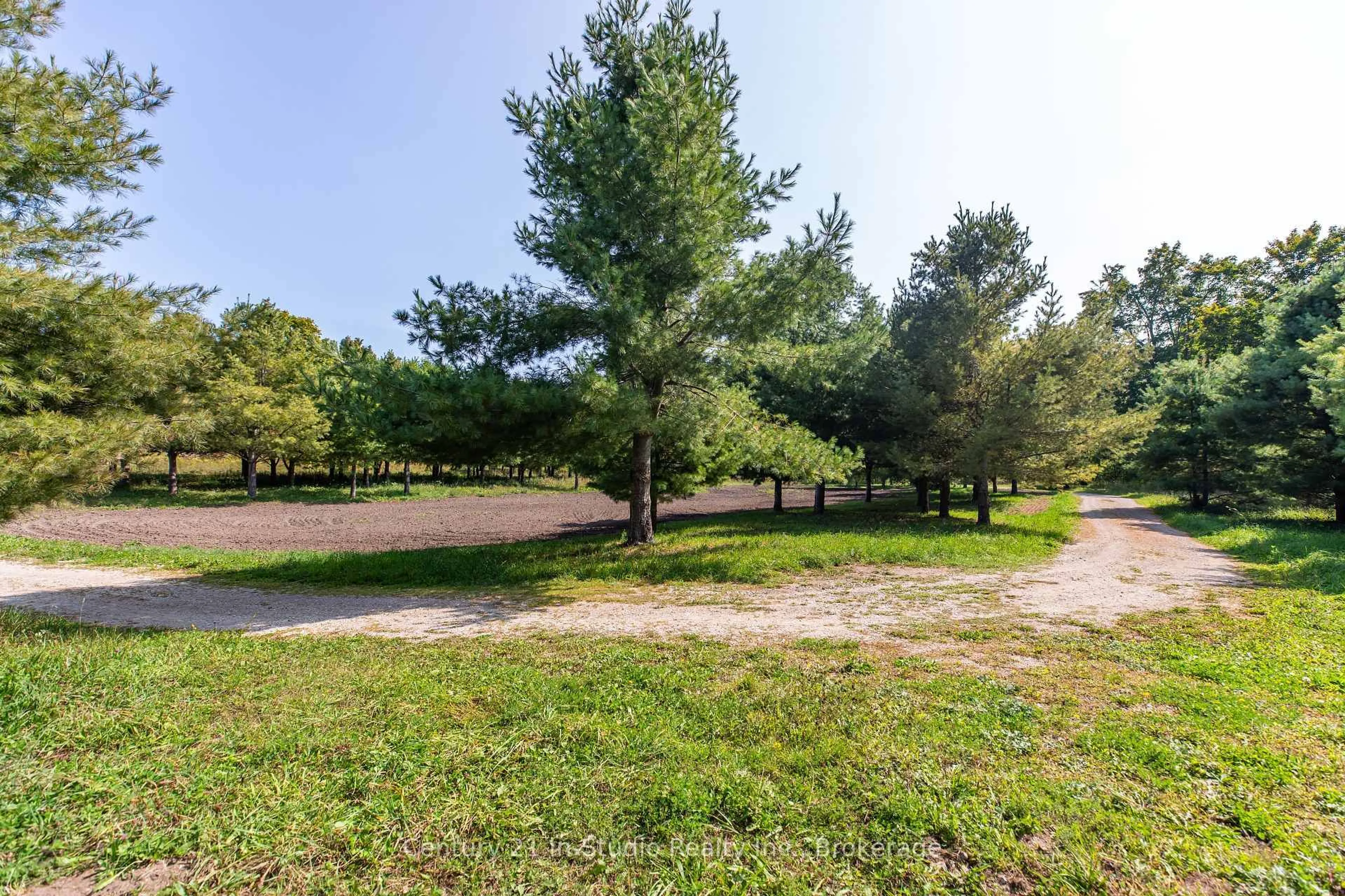 A pic from outside/outdoor area/front of a property/back of a property/a pic from drone, forest/trees view for 667 East Rd, Northern Bruce Peninsula Ontario N0H 1W0