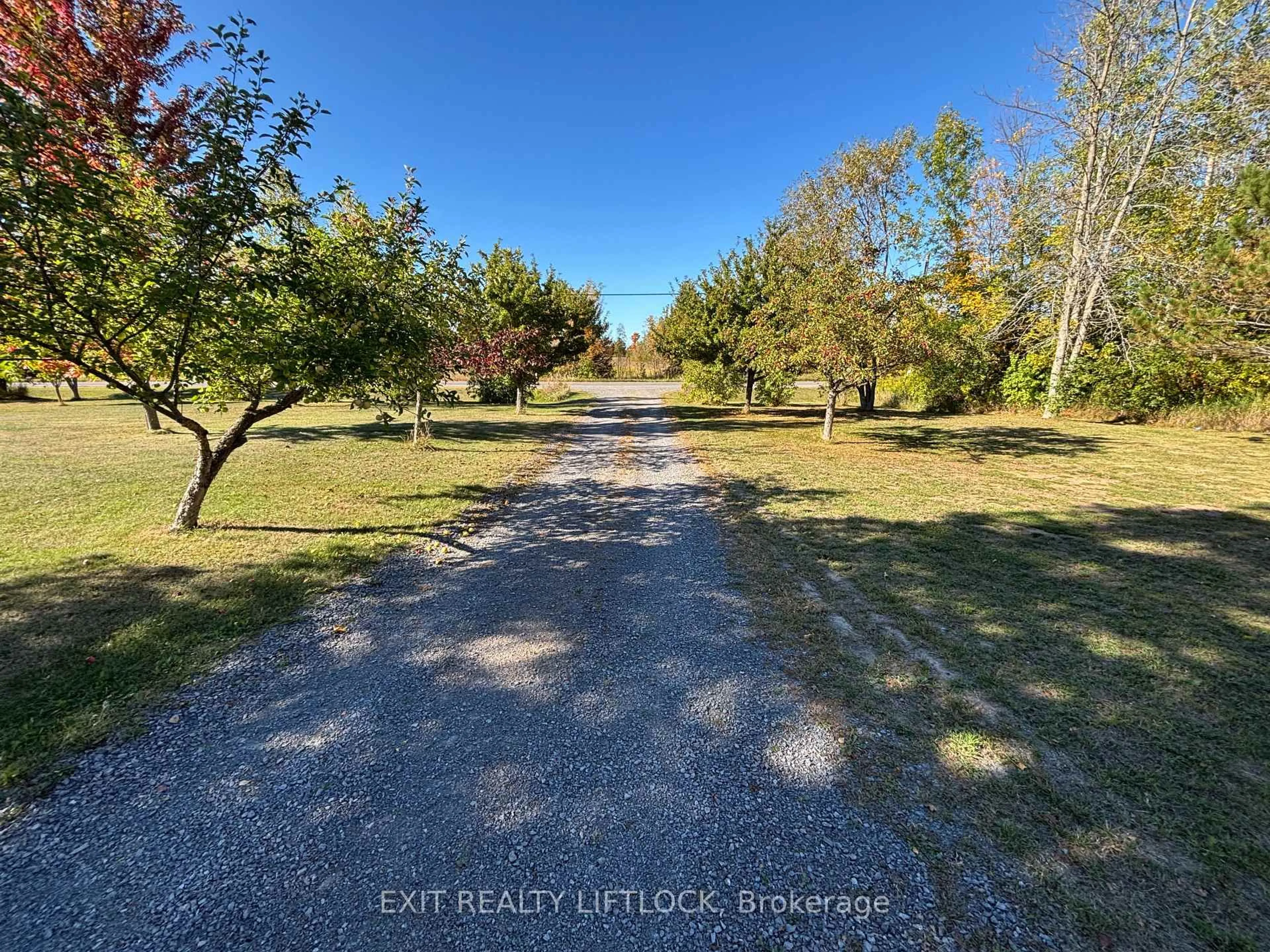 A pic from outside/outdoor area/front of a property/back of a property/a pic from drone, forest/trees view for 2725 Dummer Asphodel Rd, Asphodel-Norwood Ontario K0L 2V0